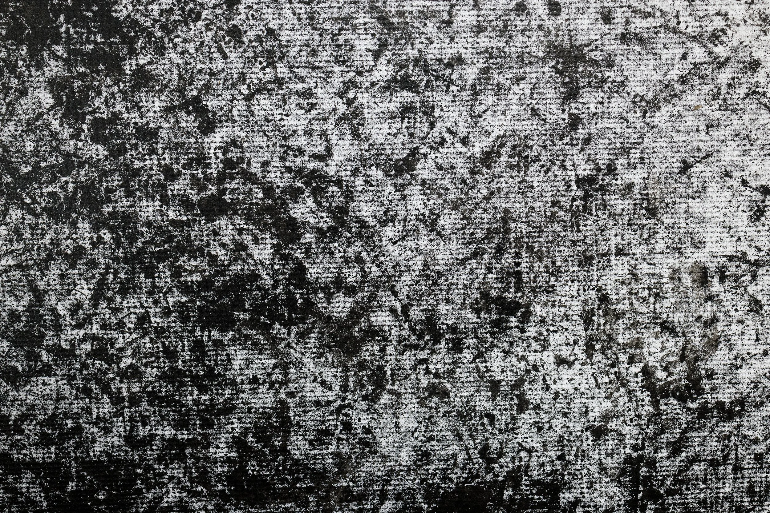 Assembly-6-tiny.jpg