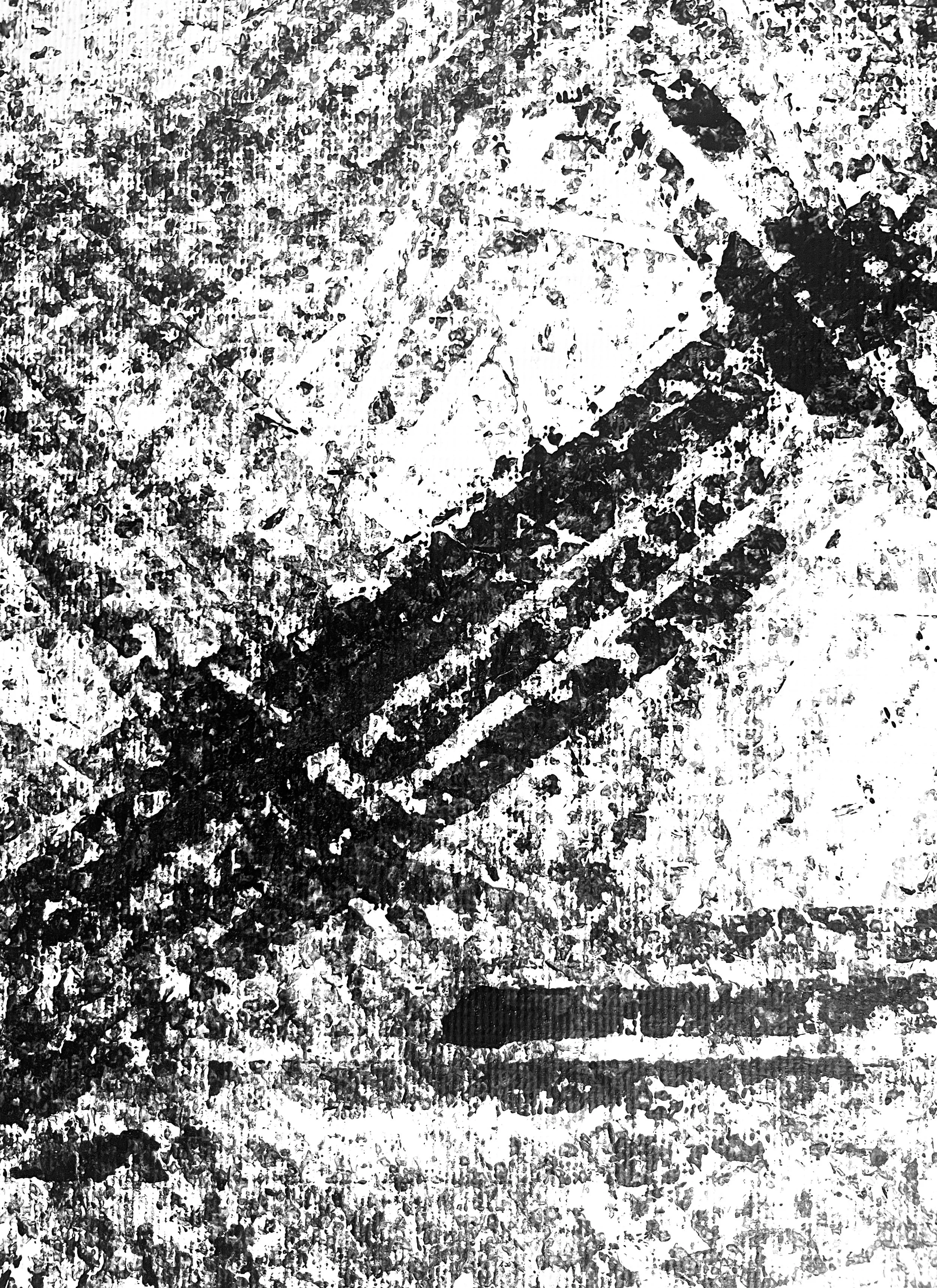 Skid-2-2.jpg