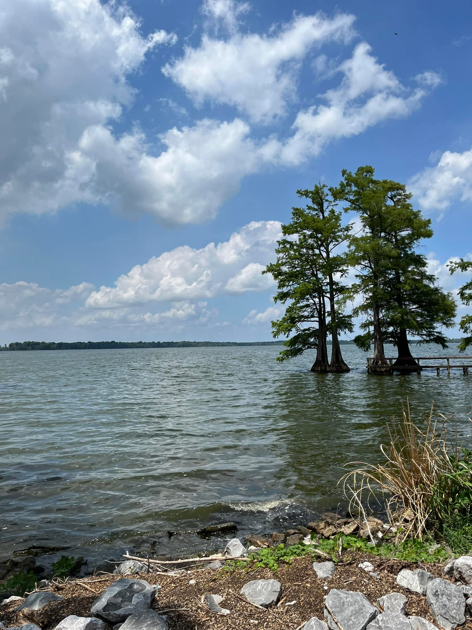 Woods RV Lots - Photo 3