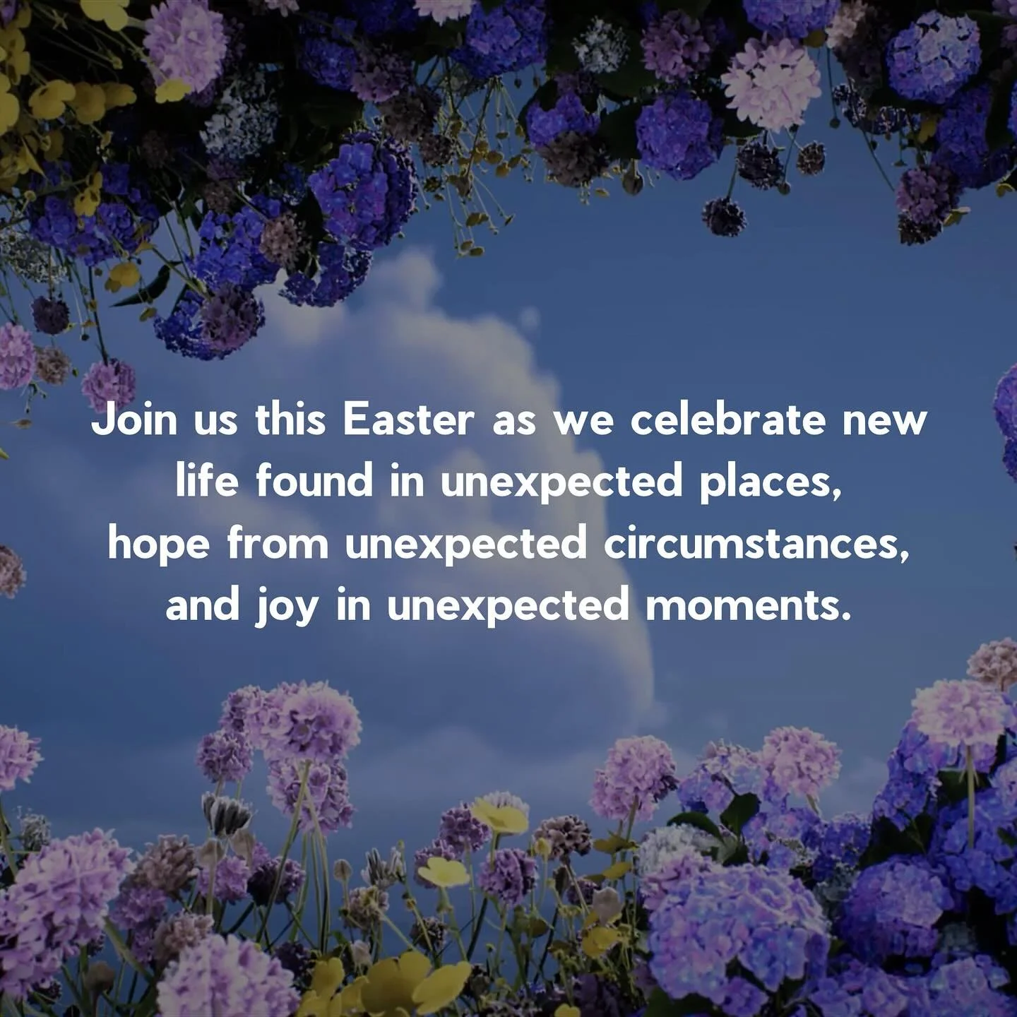 Easter Social Media Ad Series 2.jpg