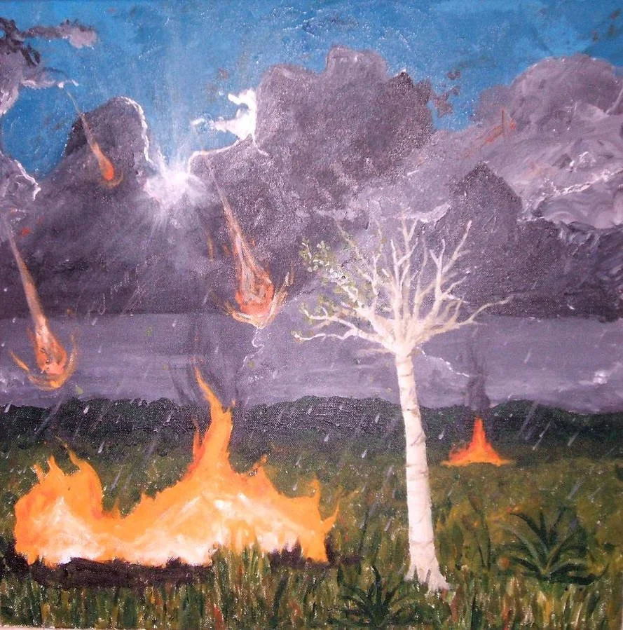 “Birds in the Rain”
24x24