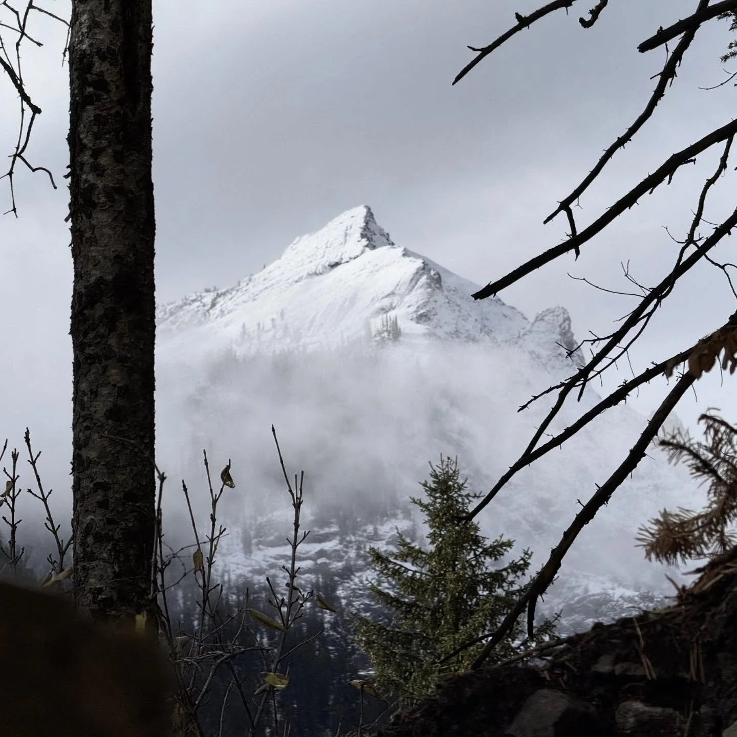 Stormy ❄️⚡️

📷 @ernestmiller_