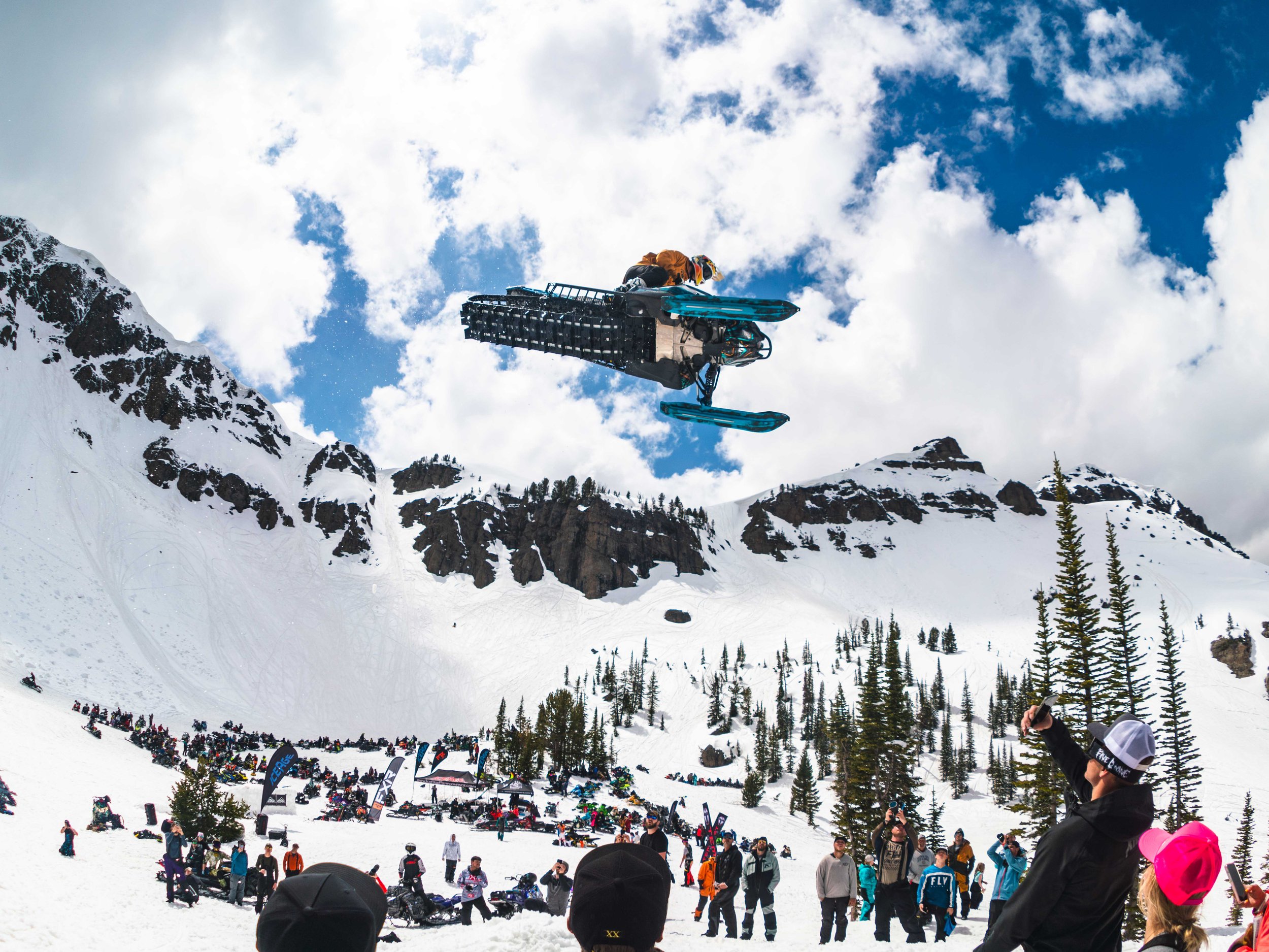 SLEDFEST 2025 - PHOTO GALLERY