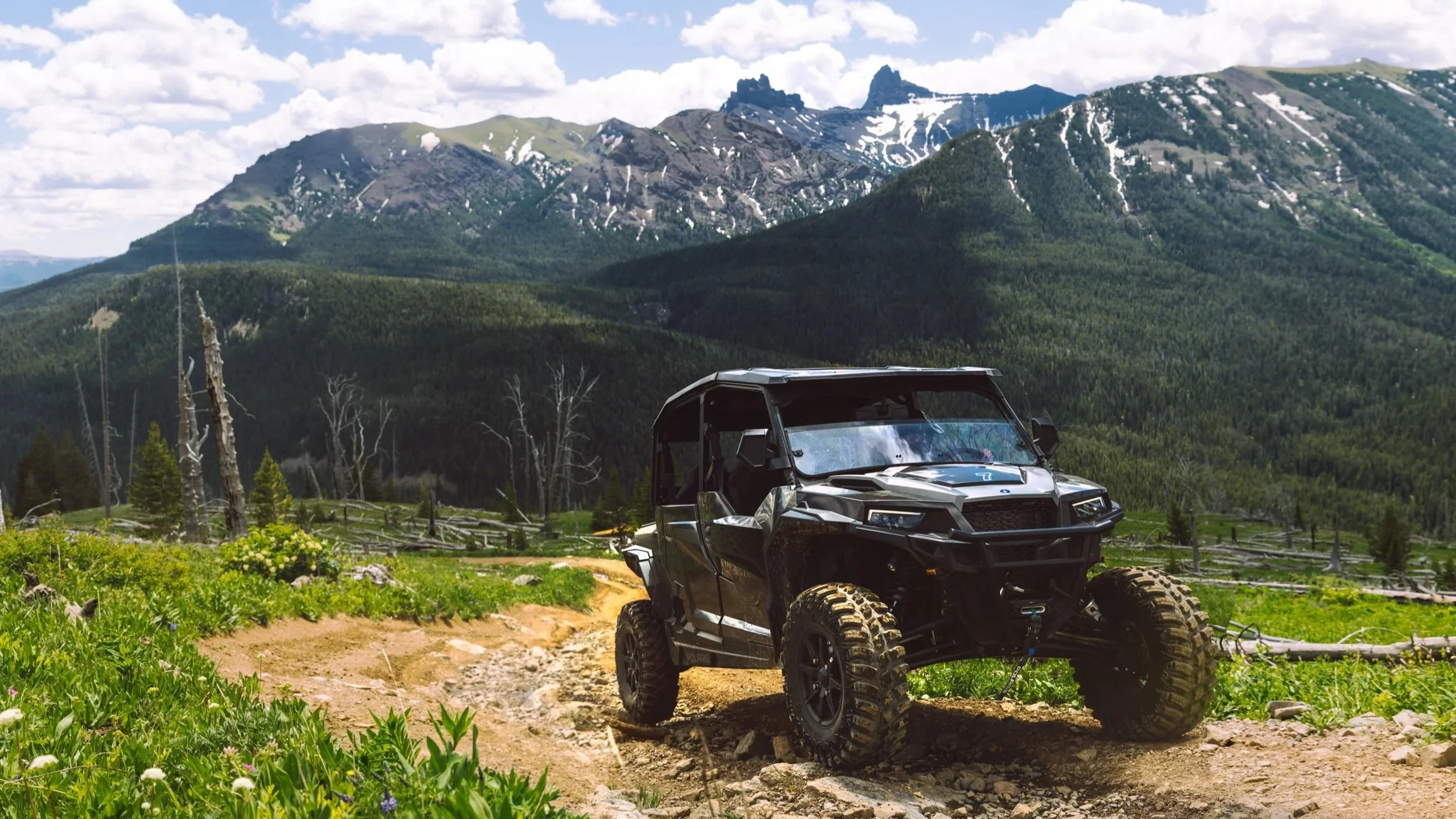 A black Polaris off-road vehicle parked on a grassy field with wildflowers, fallen tree branches, and a mountain range with snow patches in the background under a partly cloudy sky.
