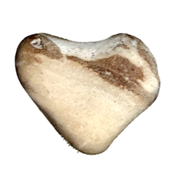 Heart-shaped stone or object with mixed light and dark brown colors on a black background.