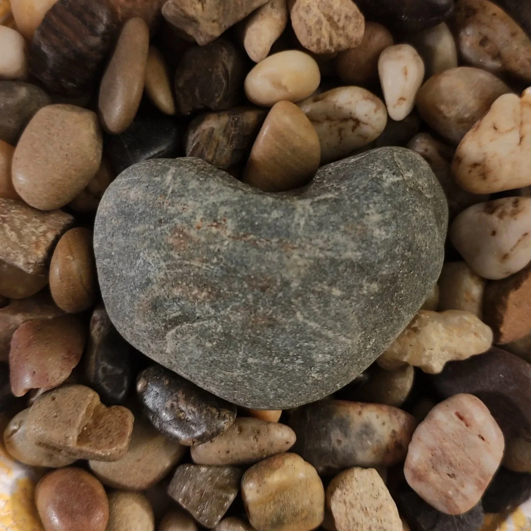 A collection of small multicolored pebbles with a large gray heart-shaped stone in the center.