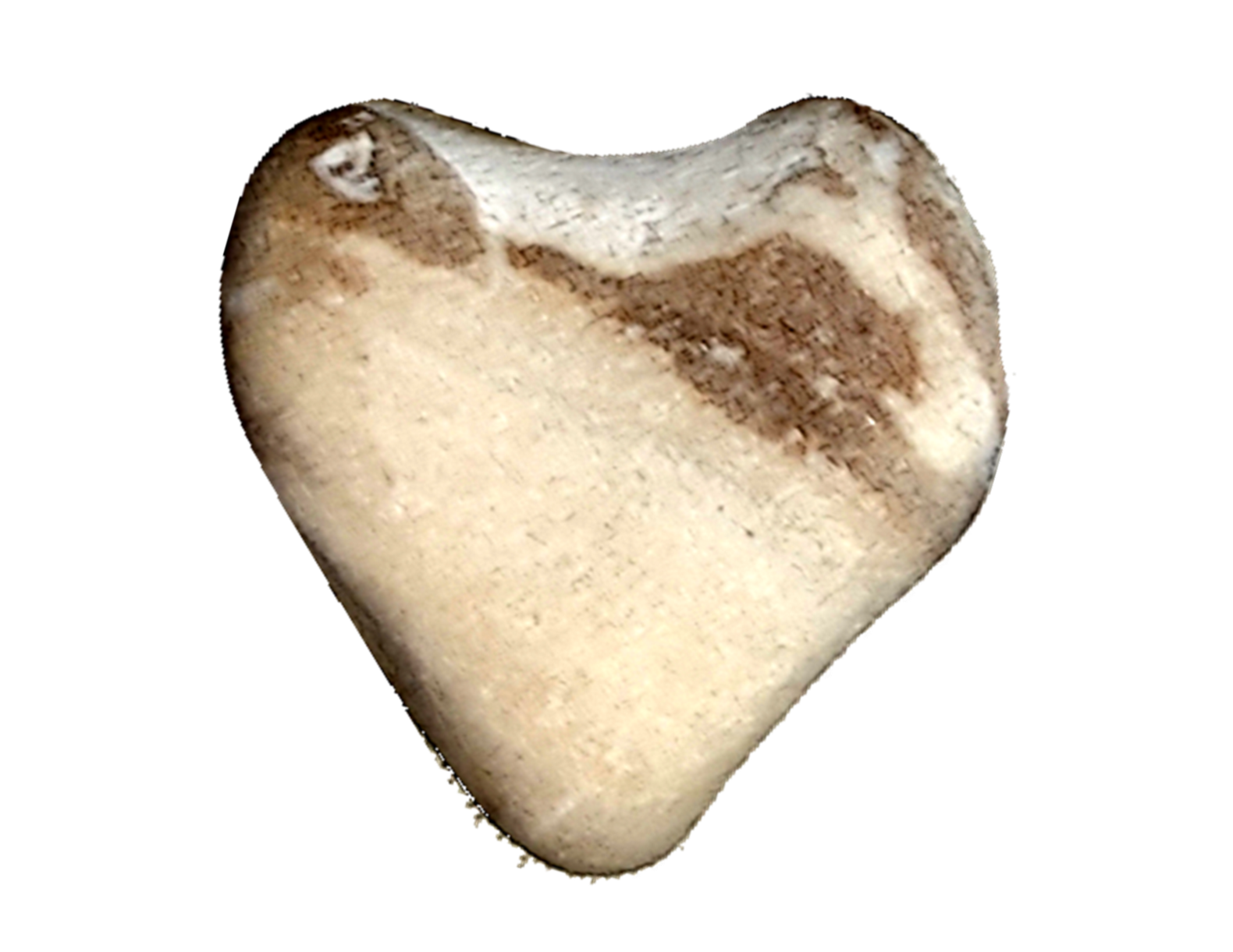 A beige heart-shaped stone with darker brown markings, set against a black background.