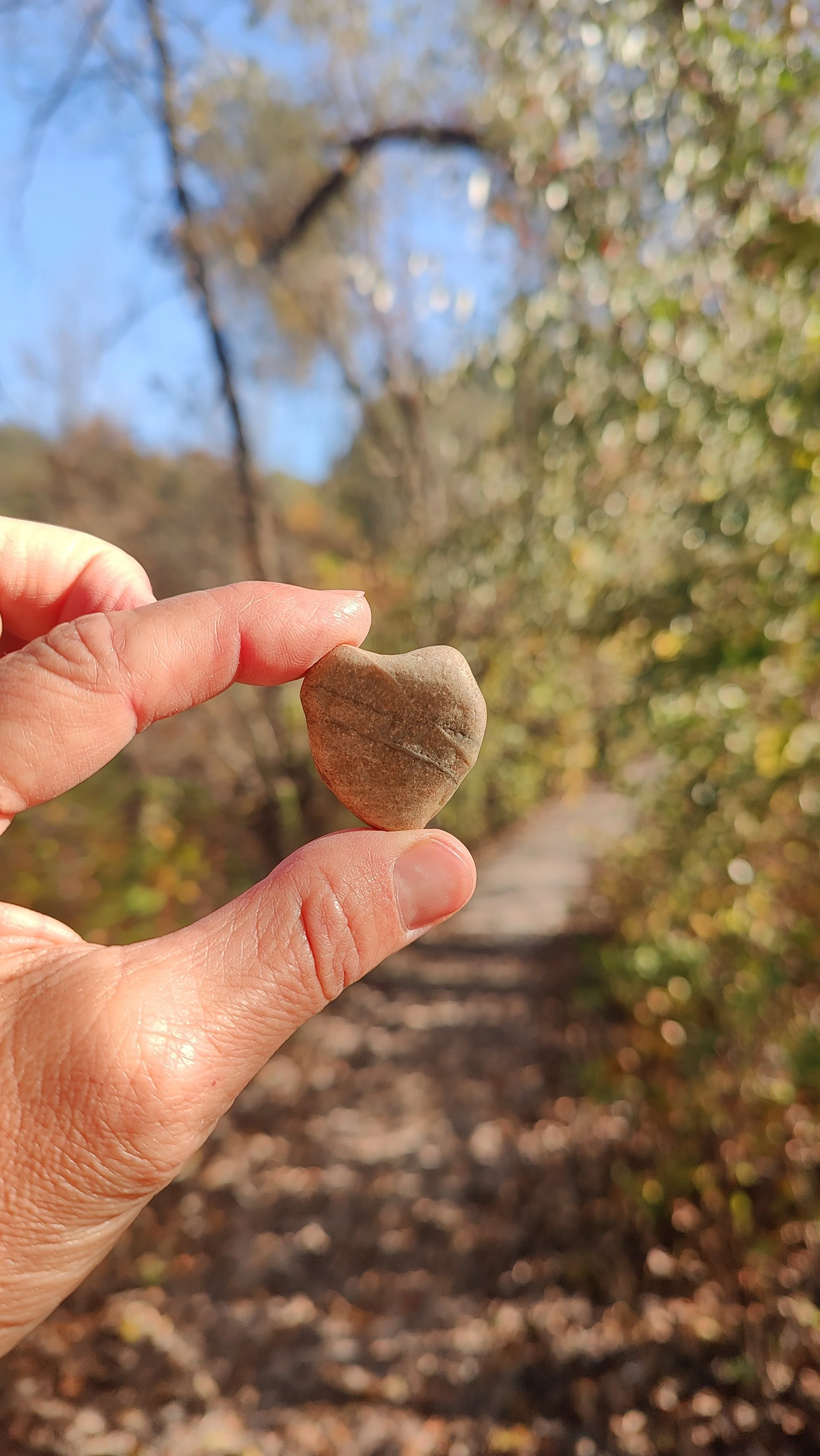 A person holding a small heart-shaped stone in their hand outdoors with a blurred forest trail and trees with autumn leaves in the background.