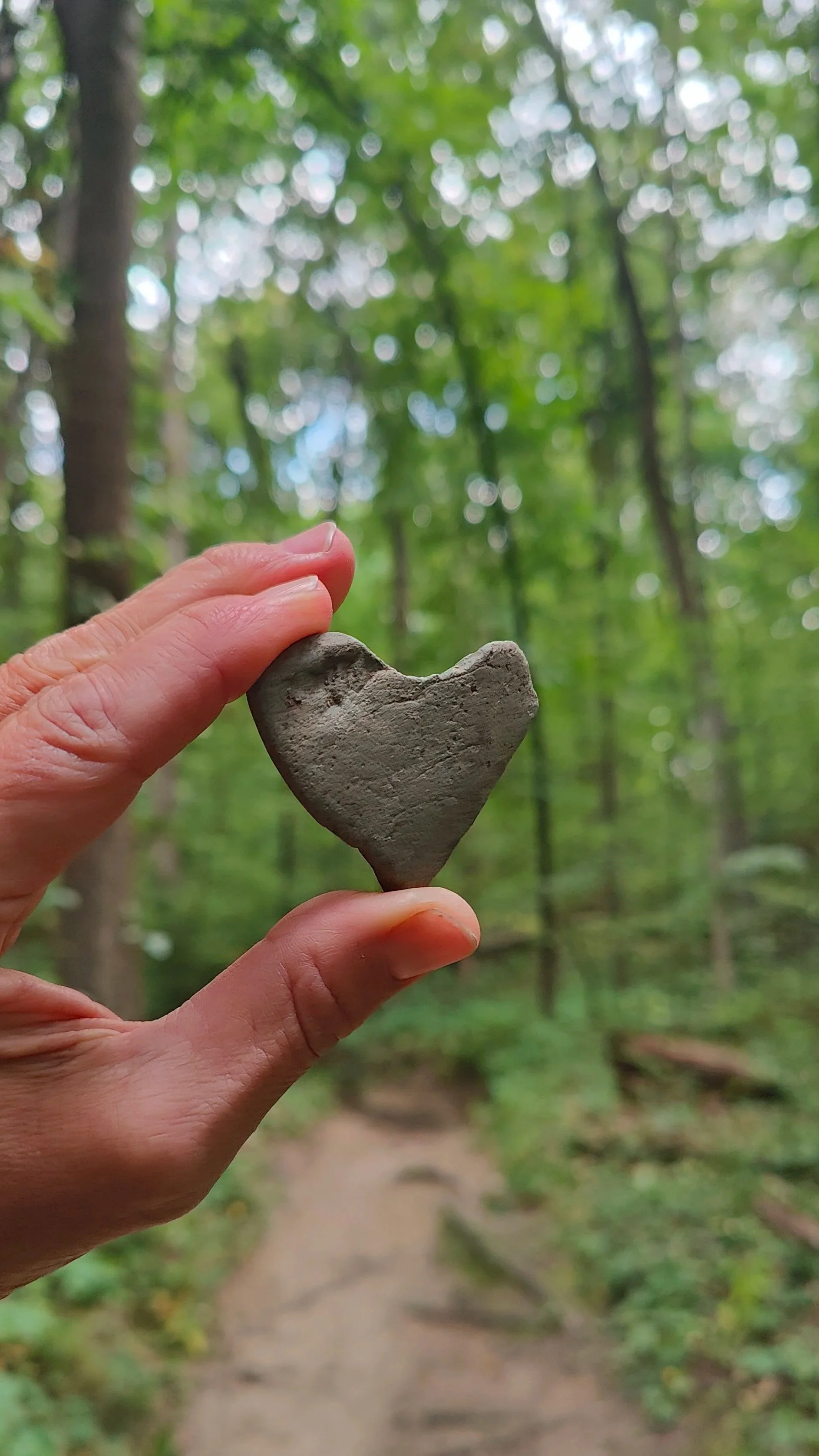 A person's hand holding a gray heart-shaped rock against a backdrop of a green, wooded forest with a dirt trail.