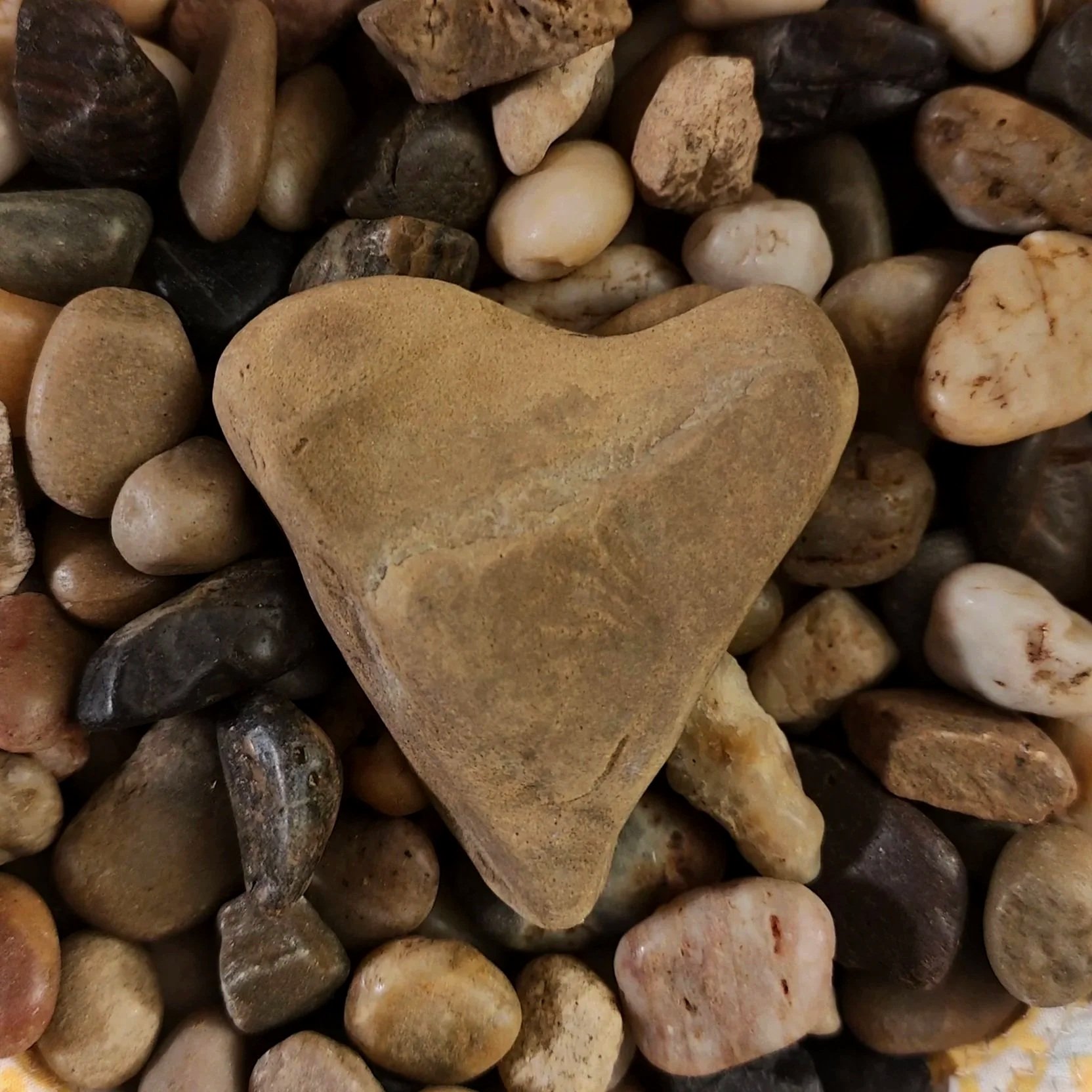 A collection of small, smooth pebbles with a large, tan, heart-shaped stone in the center.