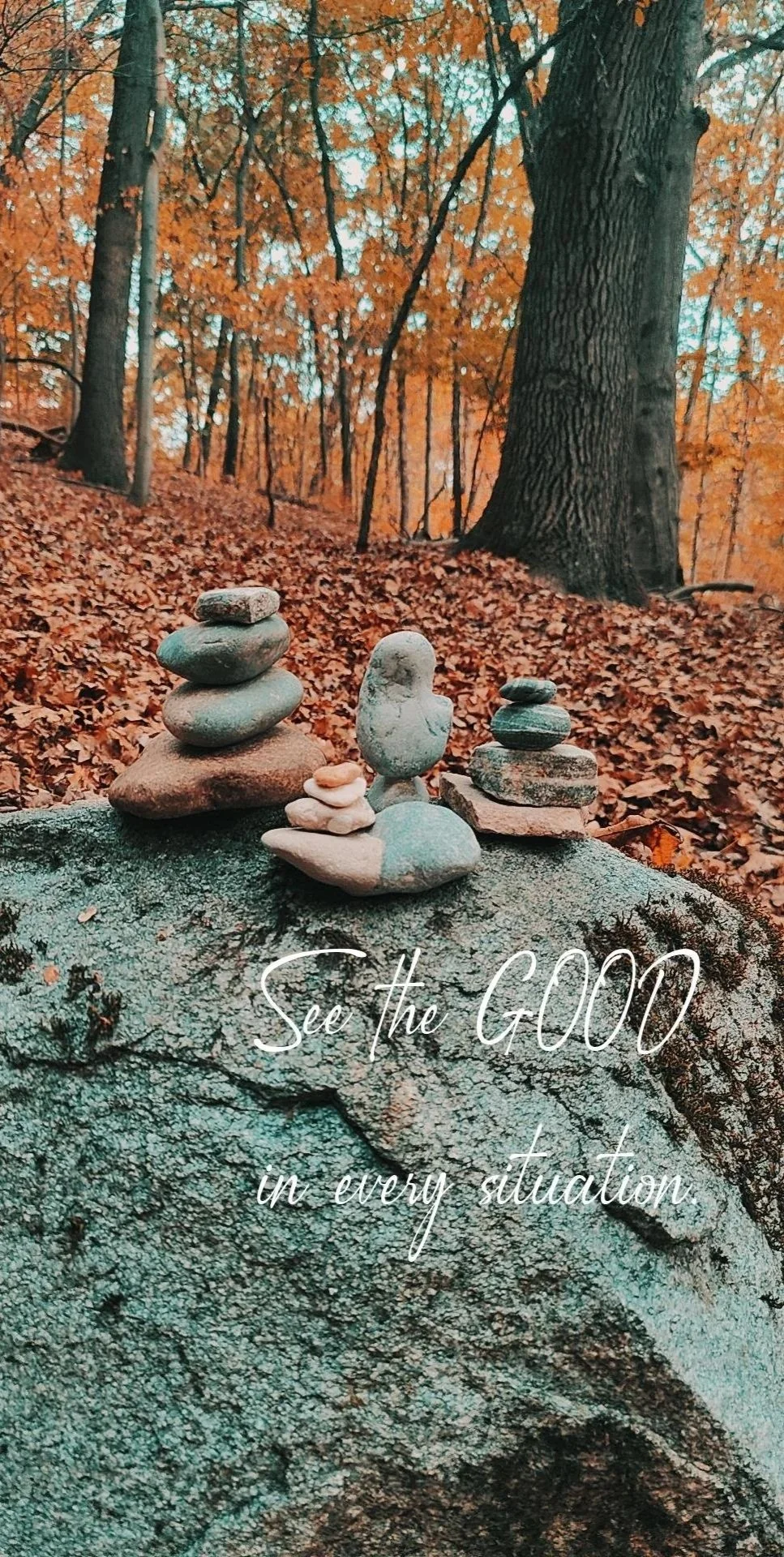 A forest scene during autumn with tall trees and orange leaves. Small cairns made of smooth stones are stacked on a large rock in the foreground, with a quote overlayed that reads, 'See the GOOD in every situation.'