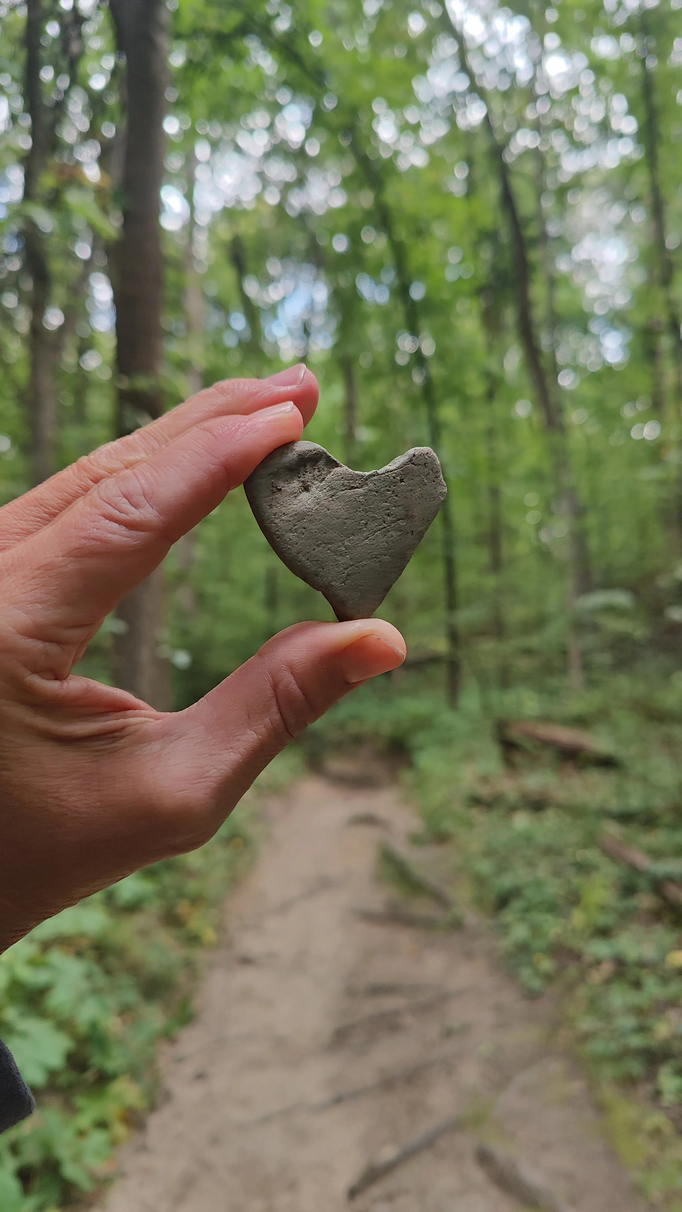 A person's hand holding a small gray stone shaped like a heart on a forest trail with trees and green foliage in the background.