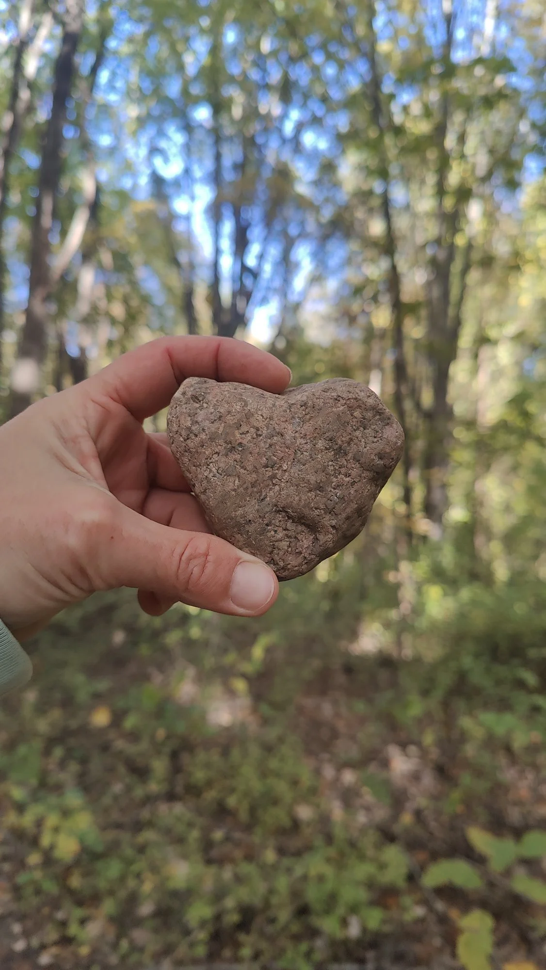 A hand holding a heart-shaped rock in a wooded area with trees and green foliage in the background.