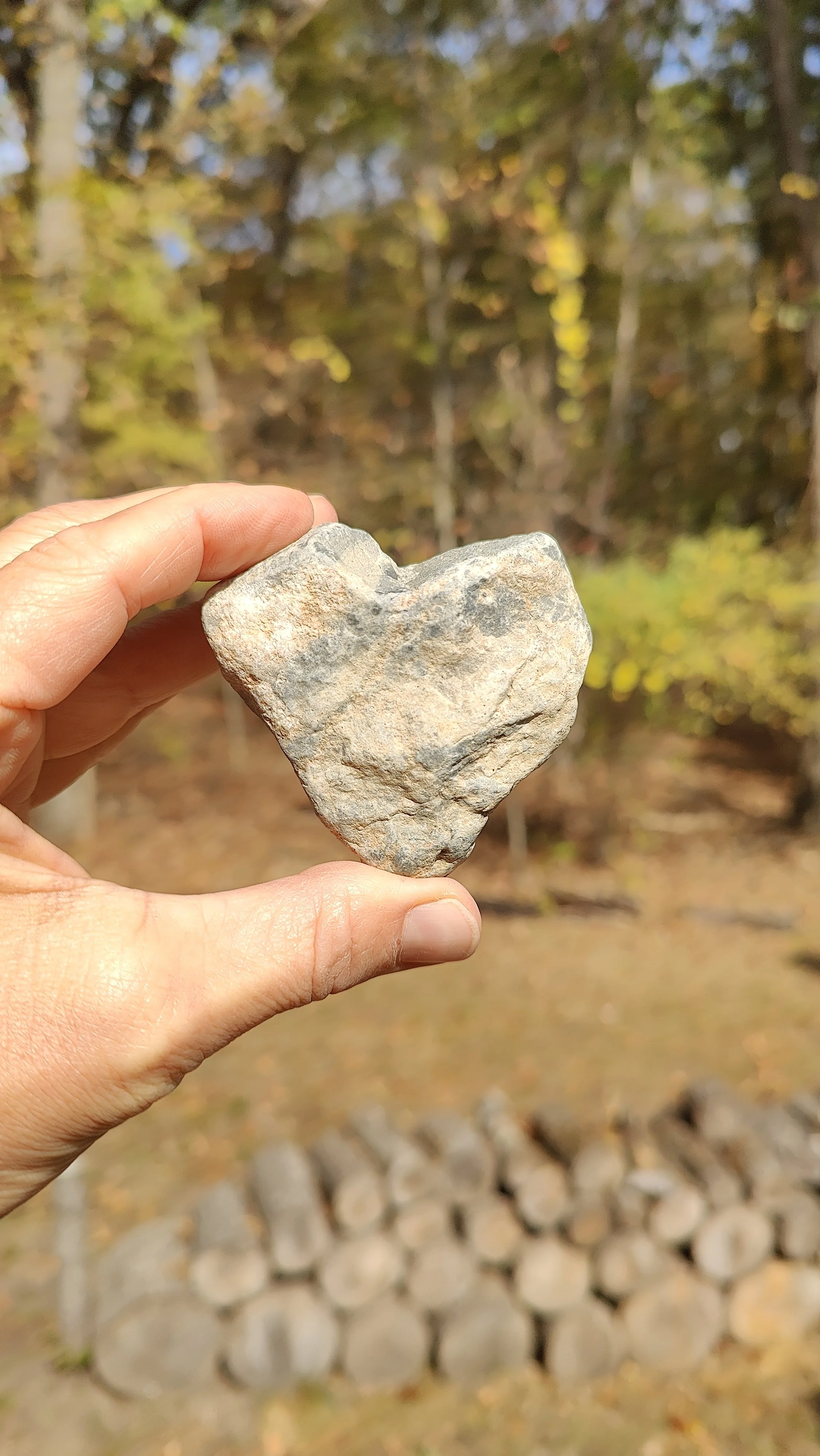 Person holding a heart-shaped rock outdoors with blurred trees and logs in the background.