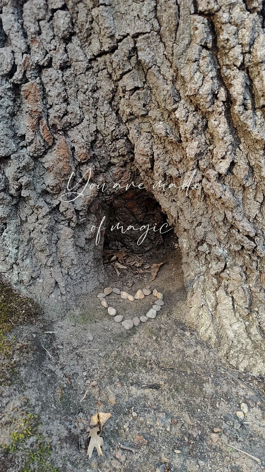 Close-up of a tree trunk with a hollow at its base. In front of the hollow, there is a heart shape made of small rocks on the dirt ground. Overlaid on the image is the text 'You are made of magic' in elegant, cursive font.