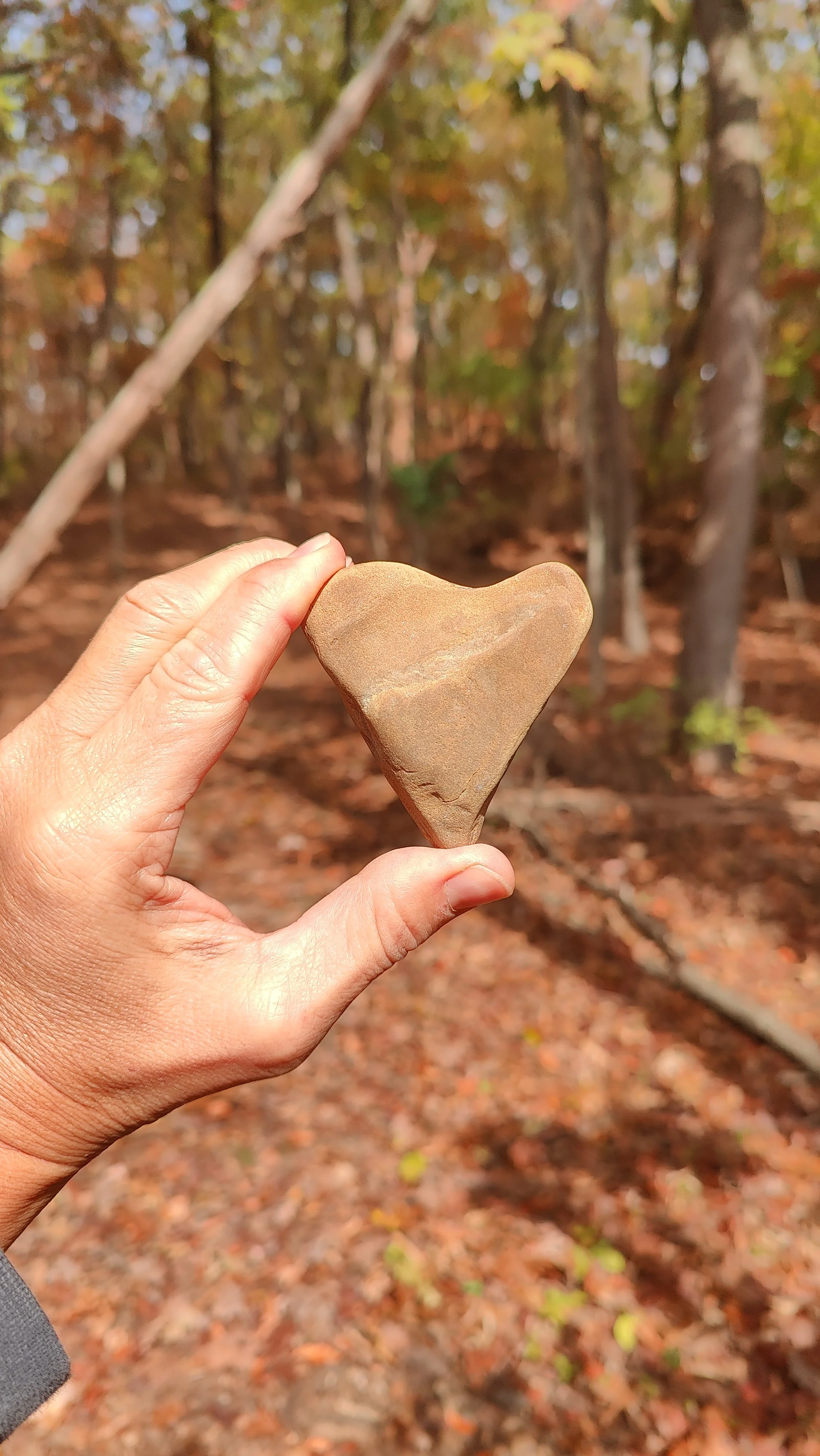 Hand holding a heart-shaped stone in a wooded area with fall foliage.