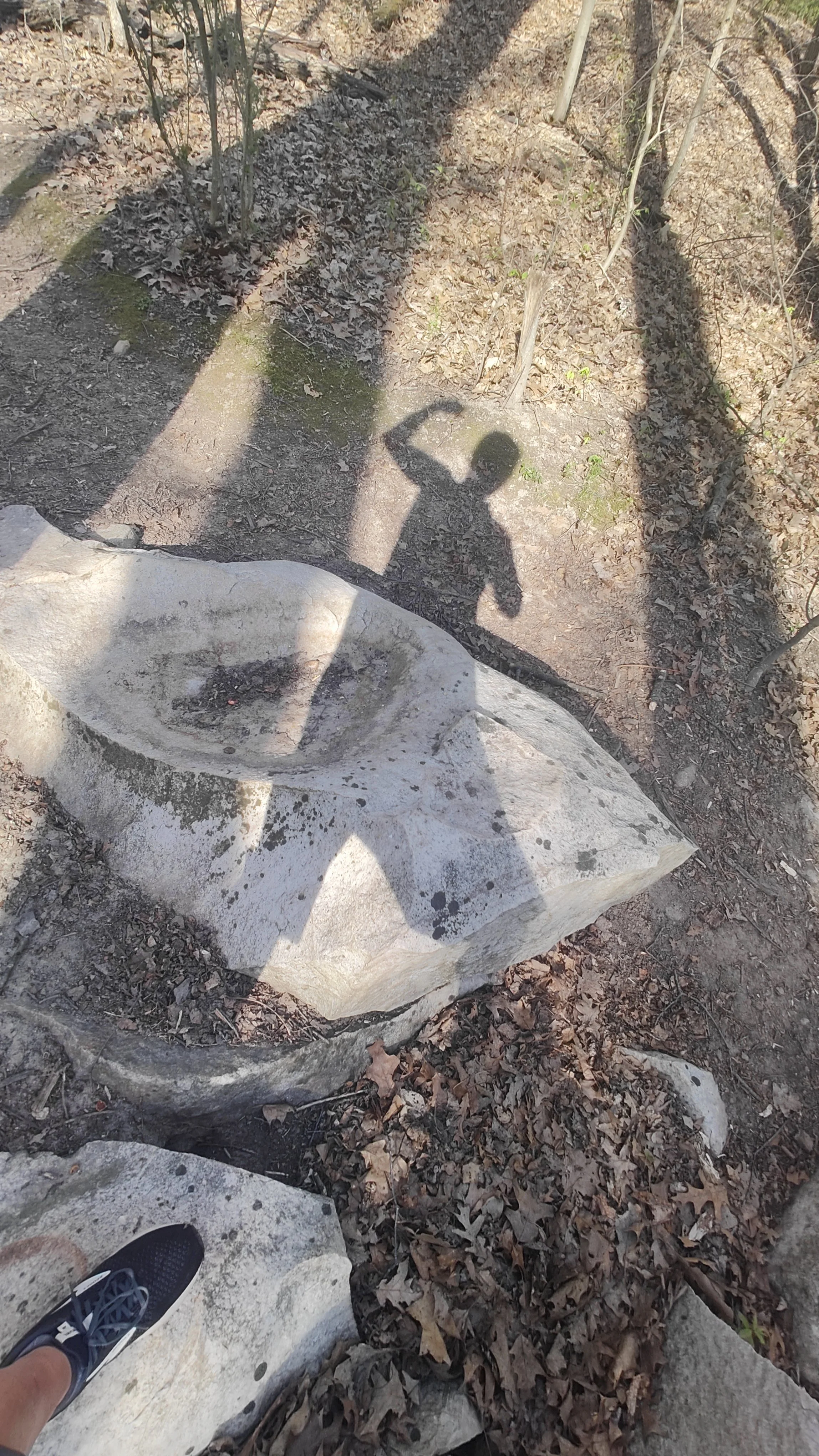 Shadow of a person taking a photo, cast on the ground in a wooded area near rocks and fallen leaves.