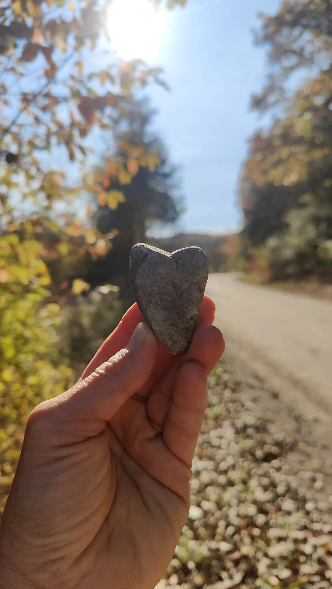 A hand holding a heart-shaped stone up against a sunny outdoor backdrop with trees and a dirt road.