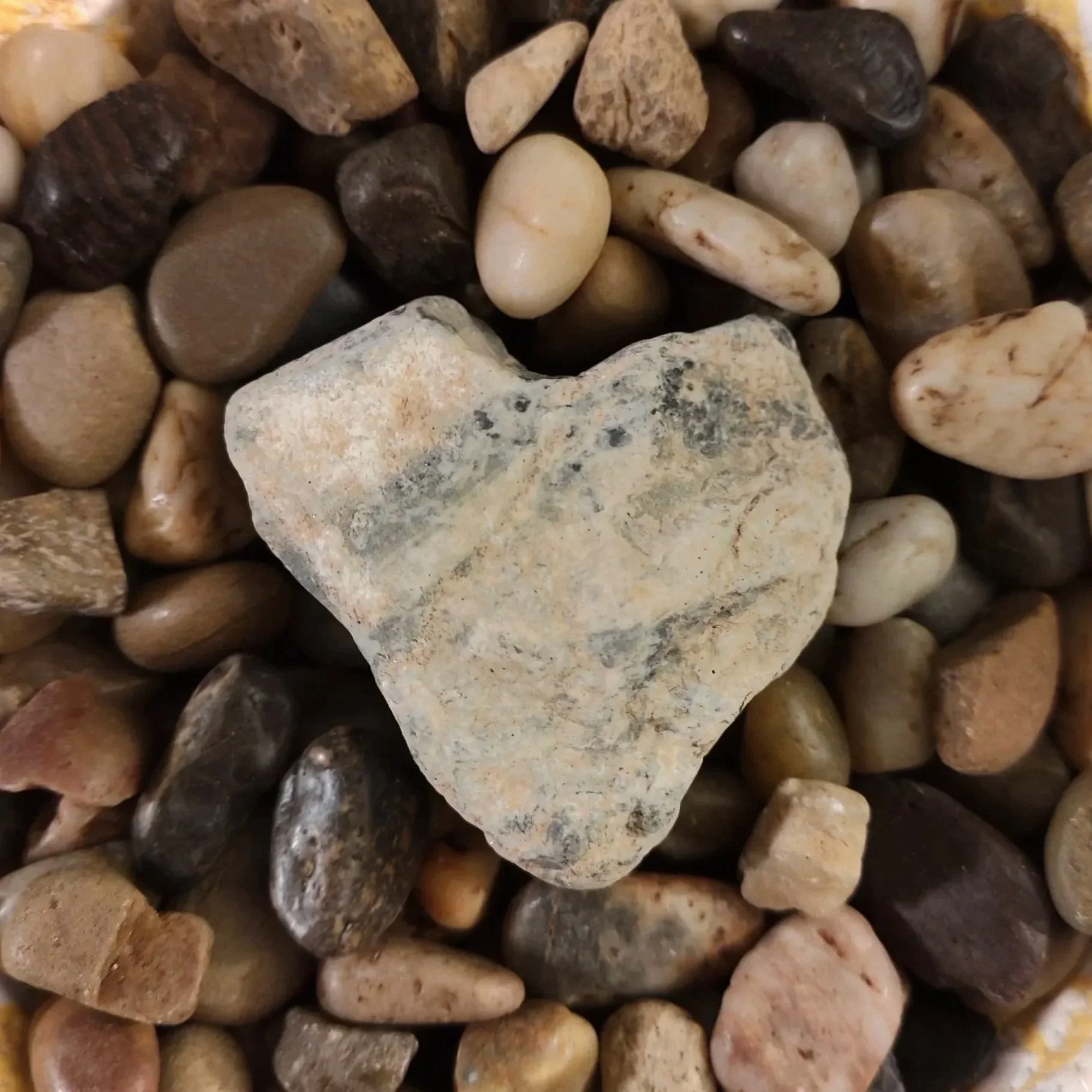 A collection of small, smooth pebbles and stones in various shades of brown, beige, black, and white, with one larger, irregularly shaped, light-colored stone with dark specks in the center.