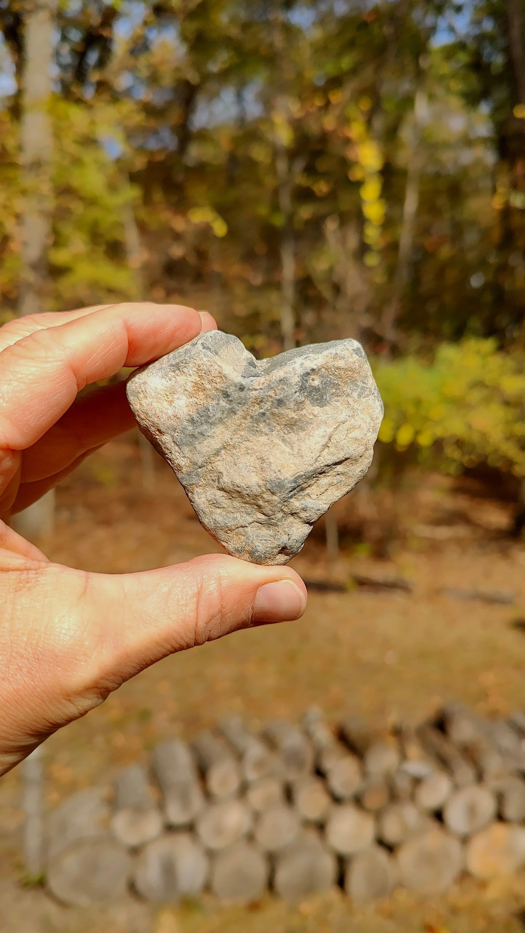 A person holding a heart-shaped rock outdoors with a background of trees and stacked logs.
