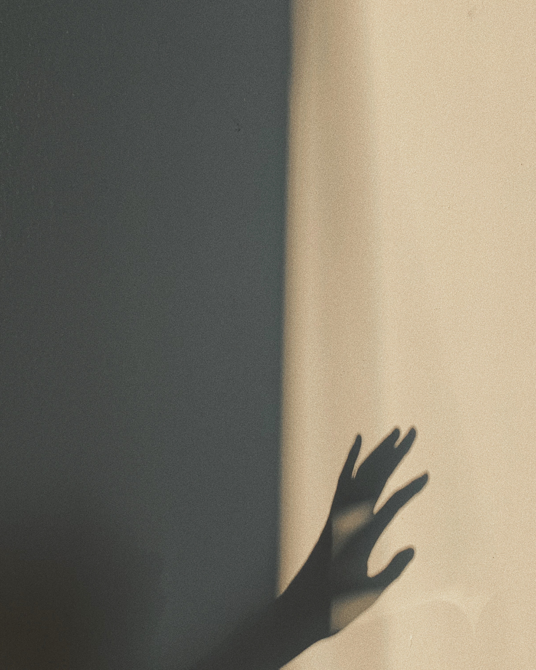 A shadow of a hand reaching out against a wall with contrasting dark and light colors.