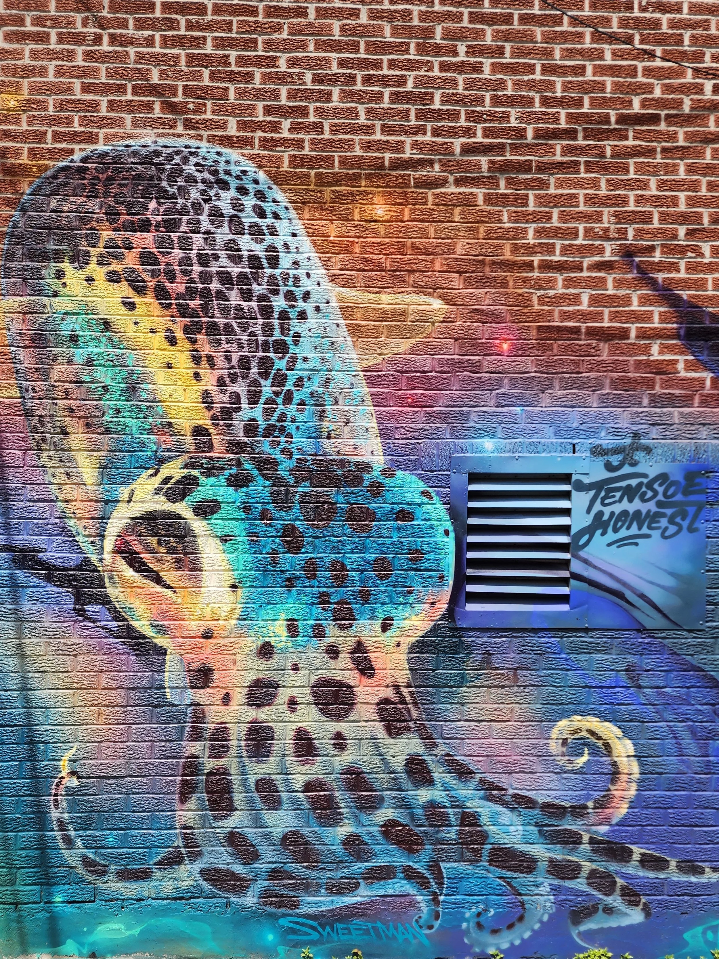 20260515_131738.jpg