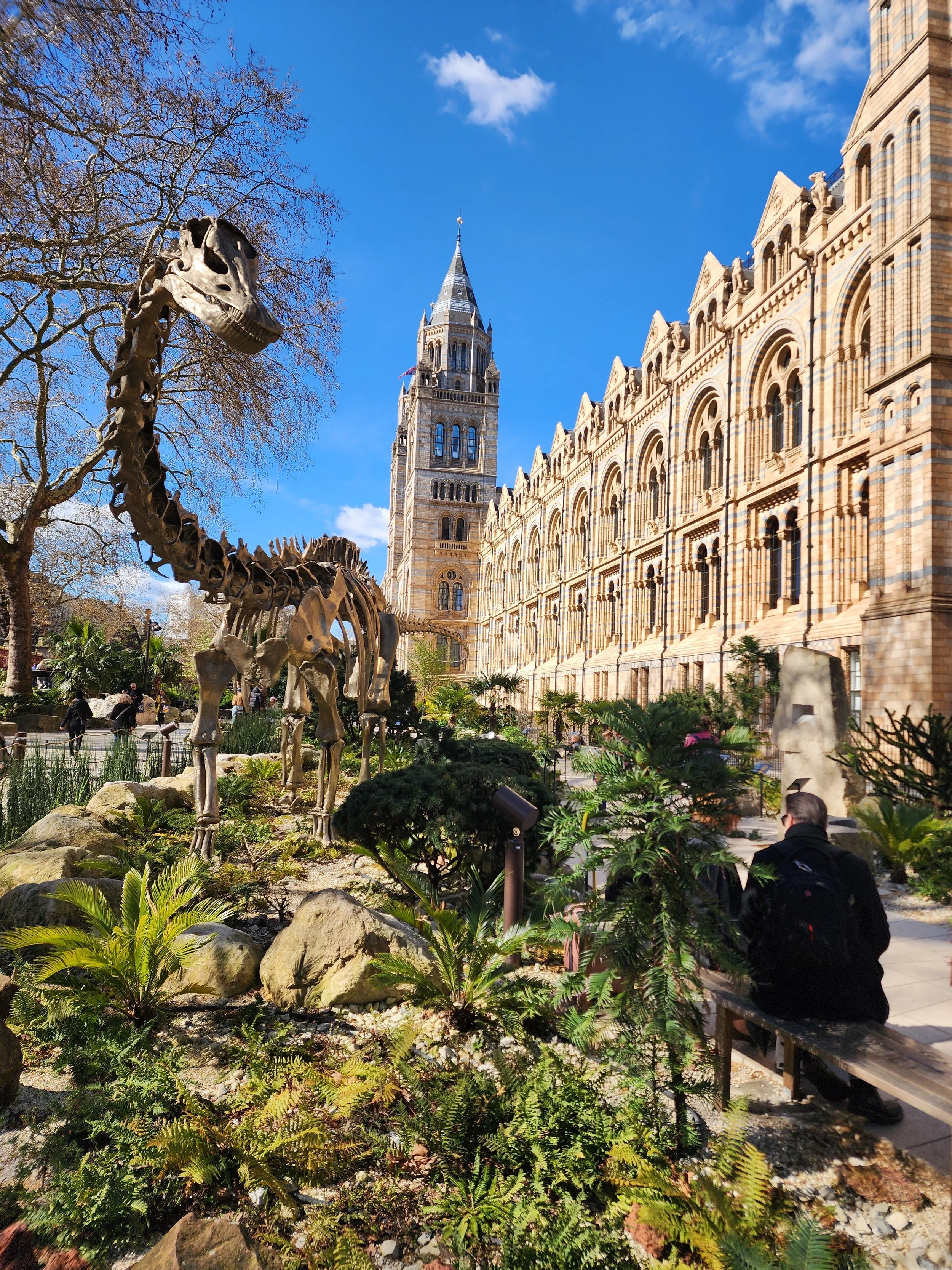 2026-03-26 11.31.11.jpg