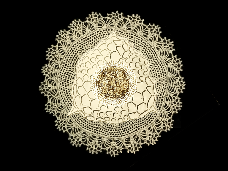 Initial Assessment & Roadmap