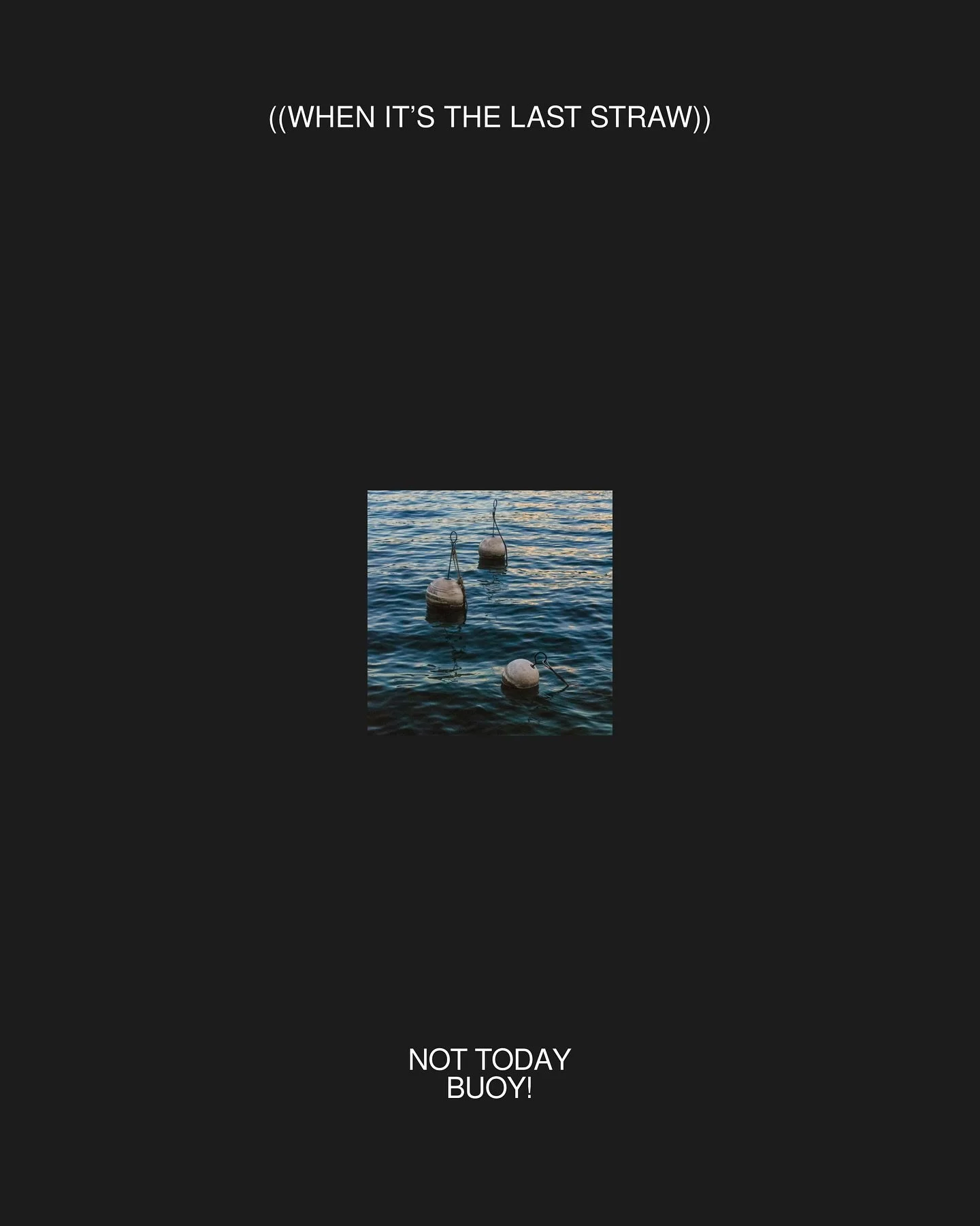 It’s been pretty wild the last few days with a storm here. Suffice to say I am happy to wake to a calm morning where the sun is shining. There will be no last straws today… right?! I hope everyone has a peaceful day today.