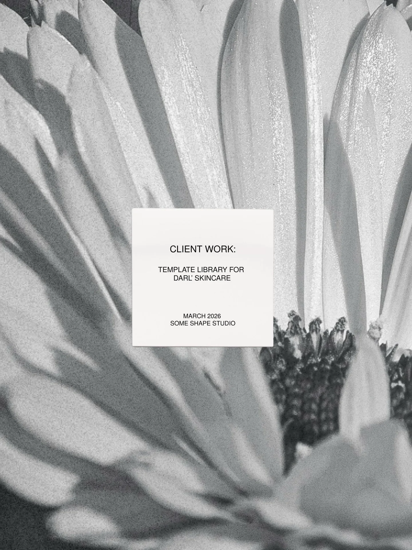 A system, not just a set of posts.

We design flexible, on-brand social templates that make showing up online feel consistent, not complicated. Built to adapt and easy to use, so your content always reflects your brand. 

For launches, campaigns, and