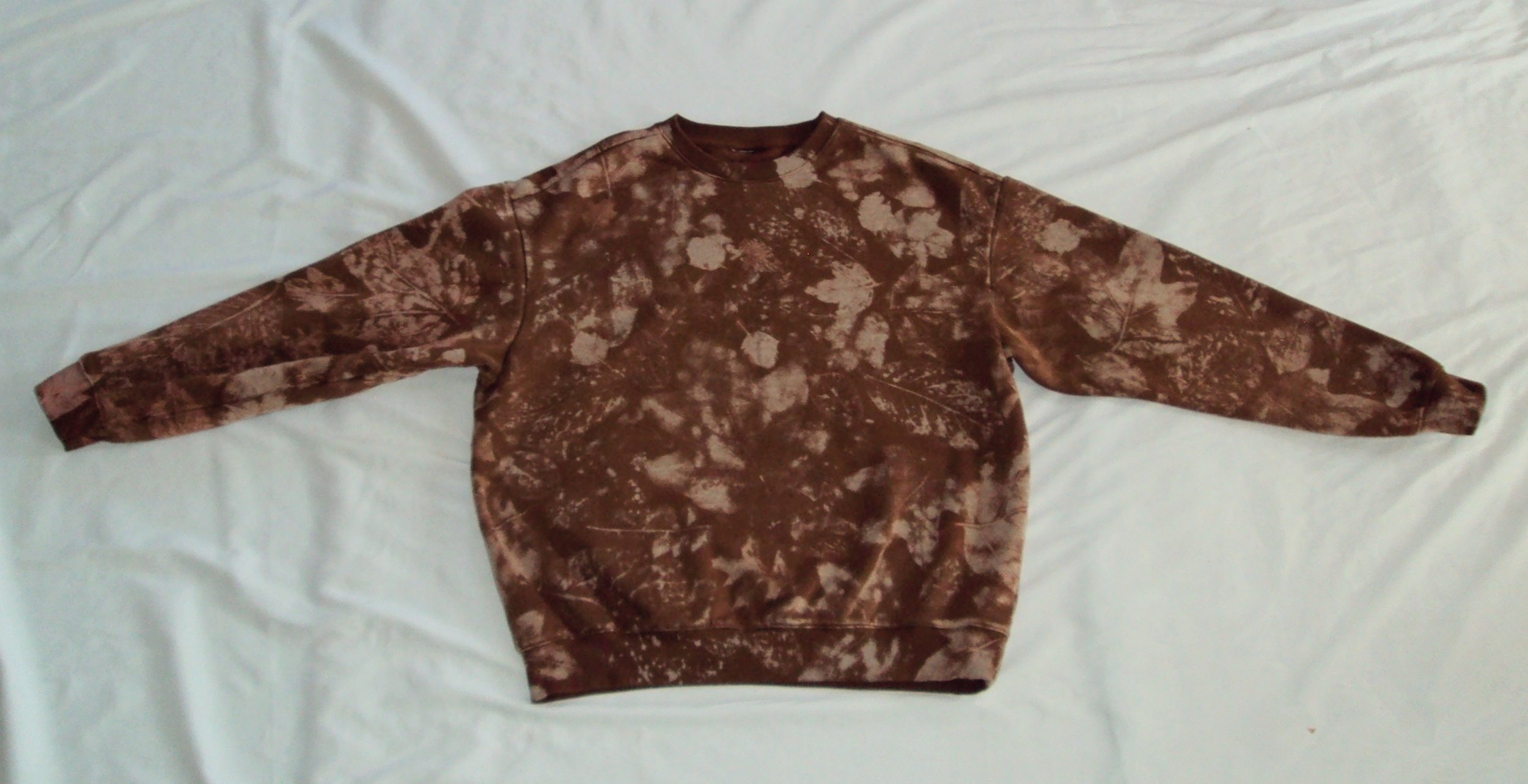 DSC01708_Original.jpeg