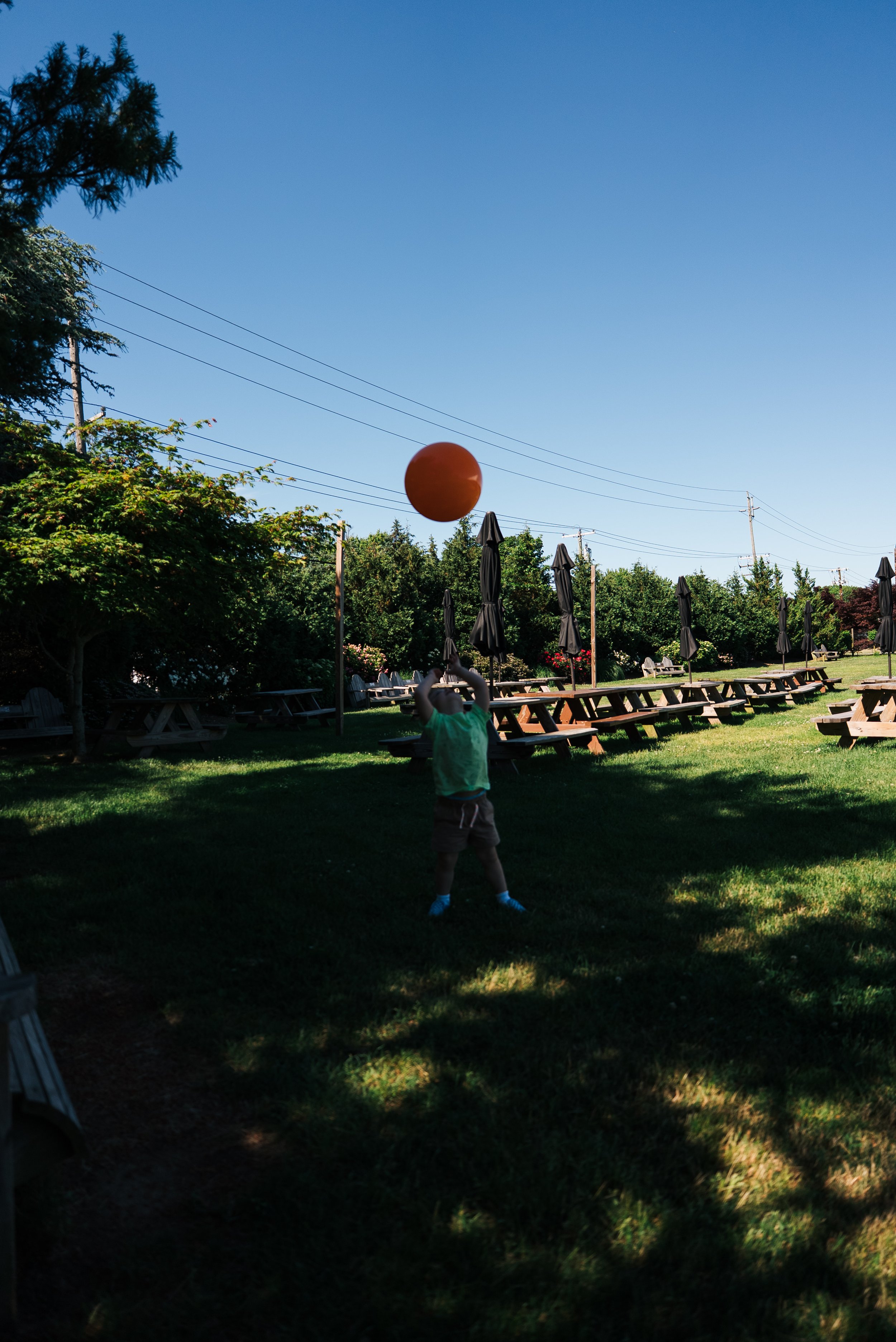 DSC06892 2.JPG