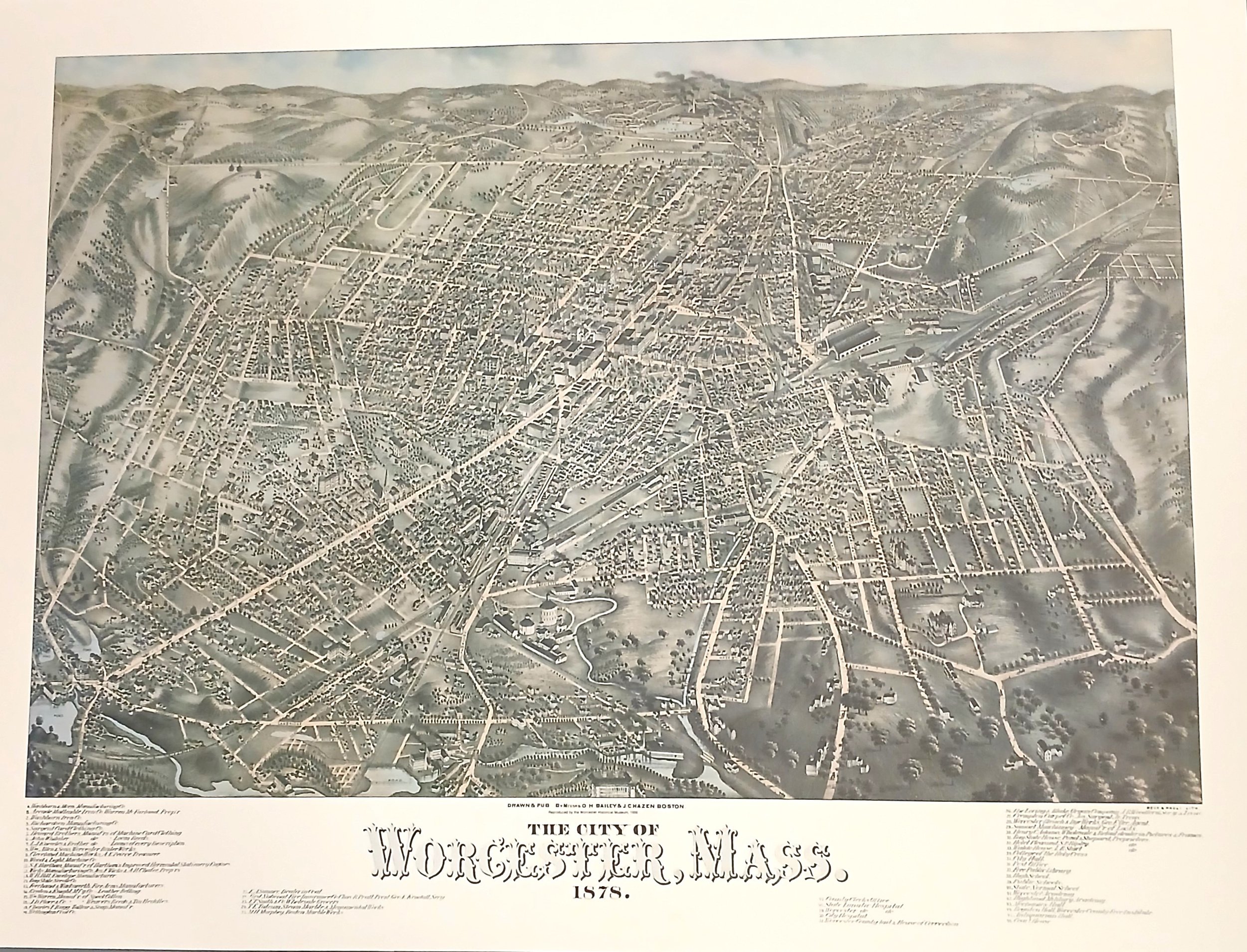 Worcester Birds Eye Poster
