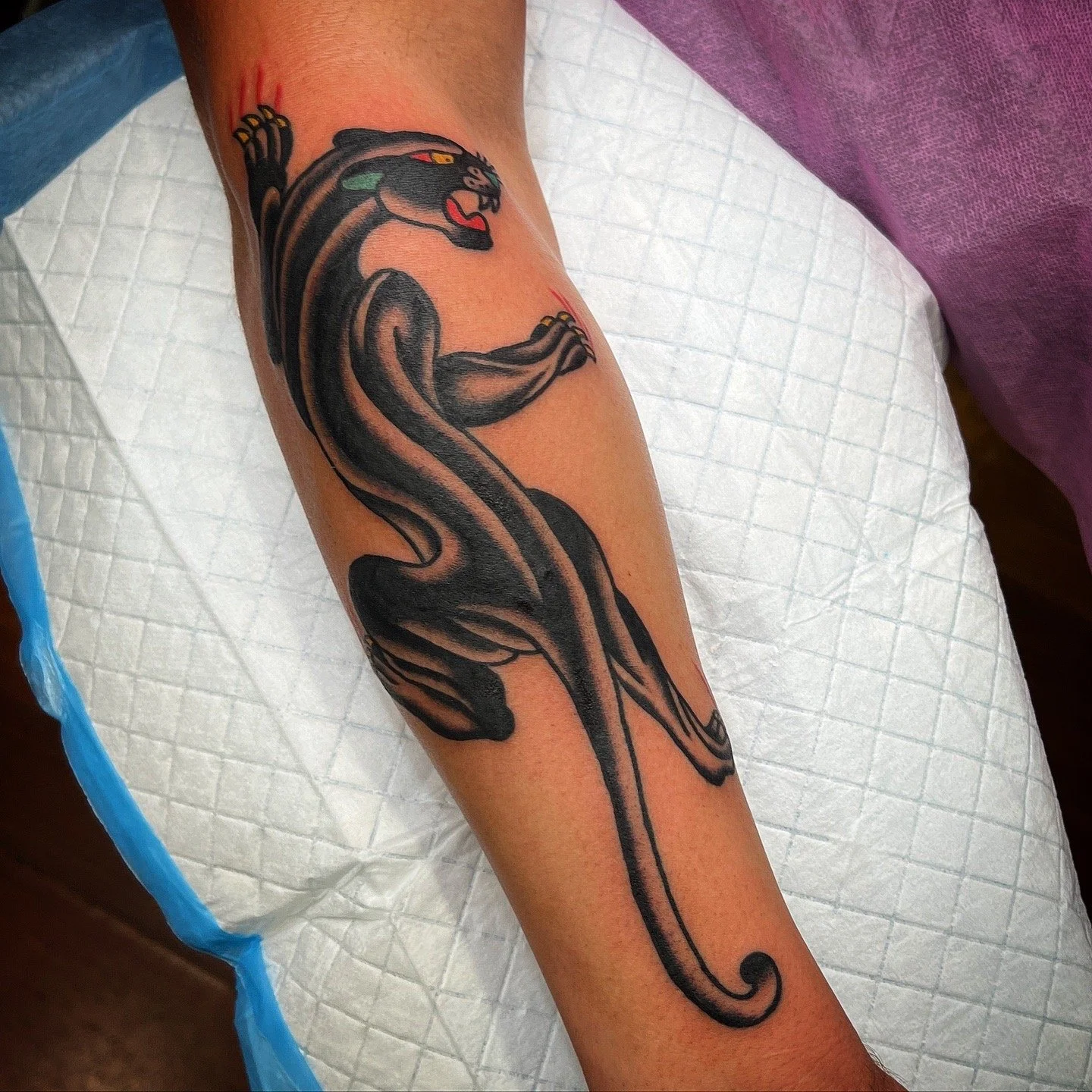 Freshly inked black and gray tattoo of a stylized panther on a person's forearm, with a colorful tongue and detailed claws.