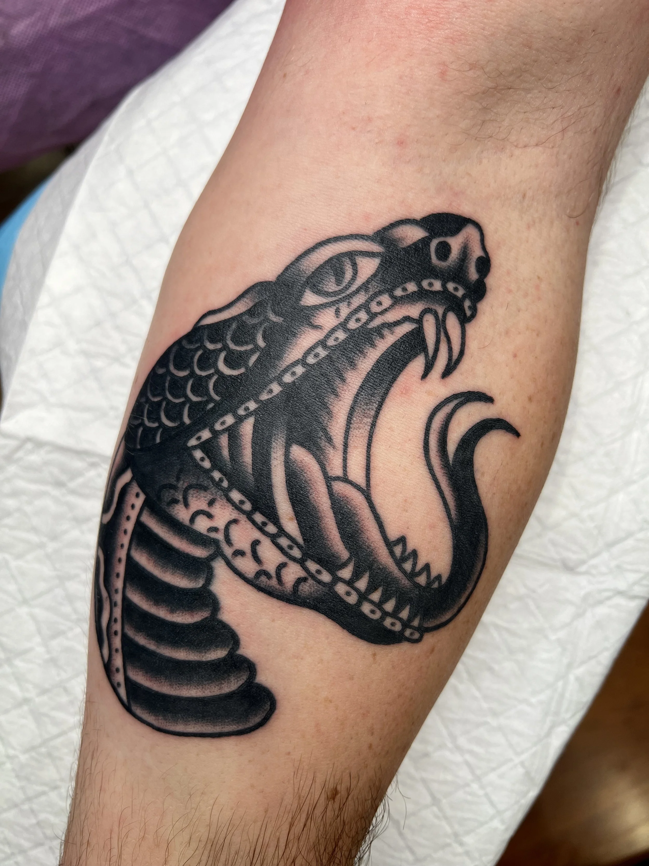 Black and gray tattoo of a snake with its mouth open on a person's arm.