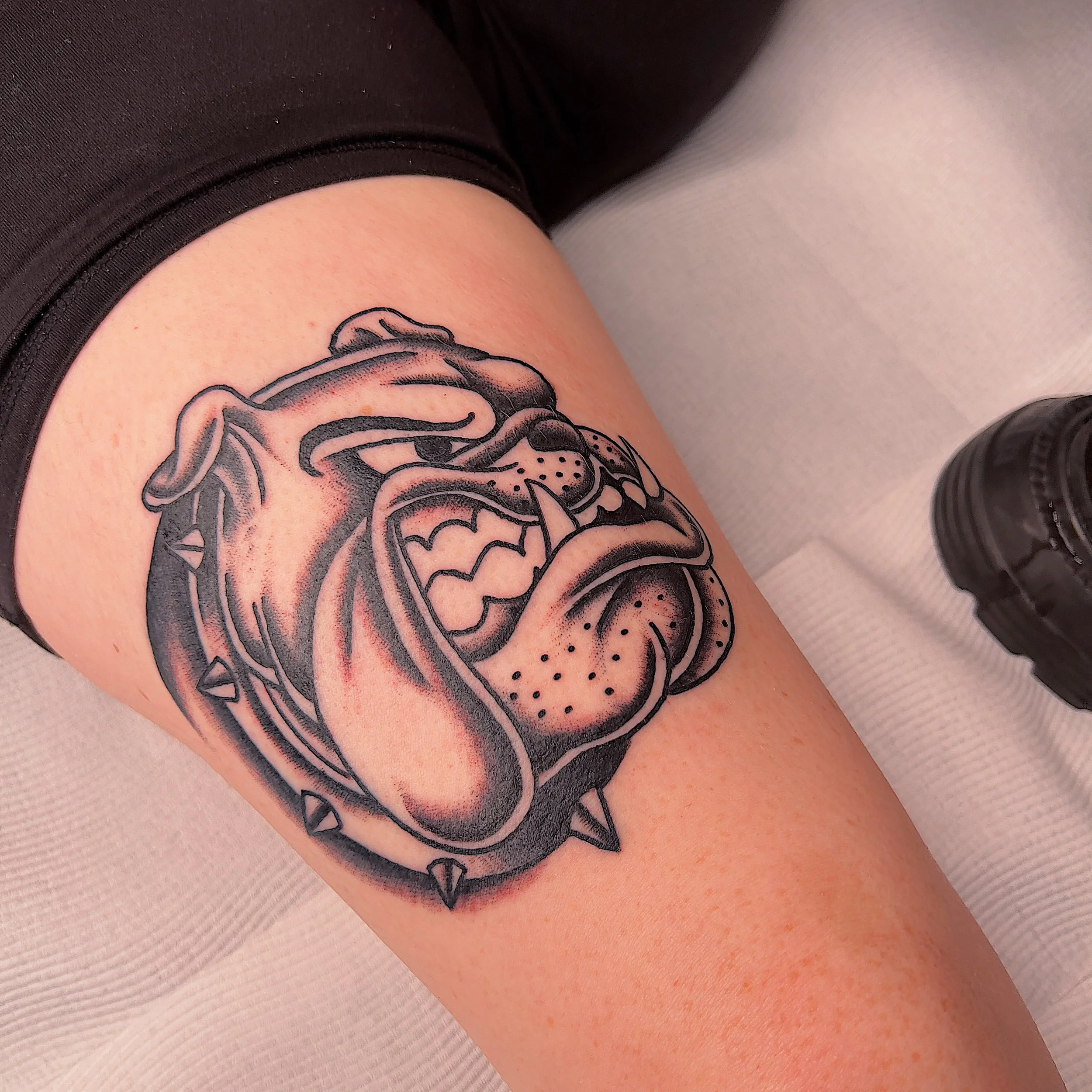 Black and gray tattoo of a fierce bulldog with sharp teeth, spiked collar, and open mouth, on a person's thigh.