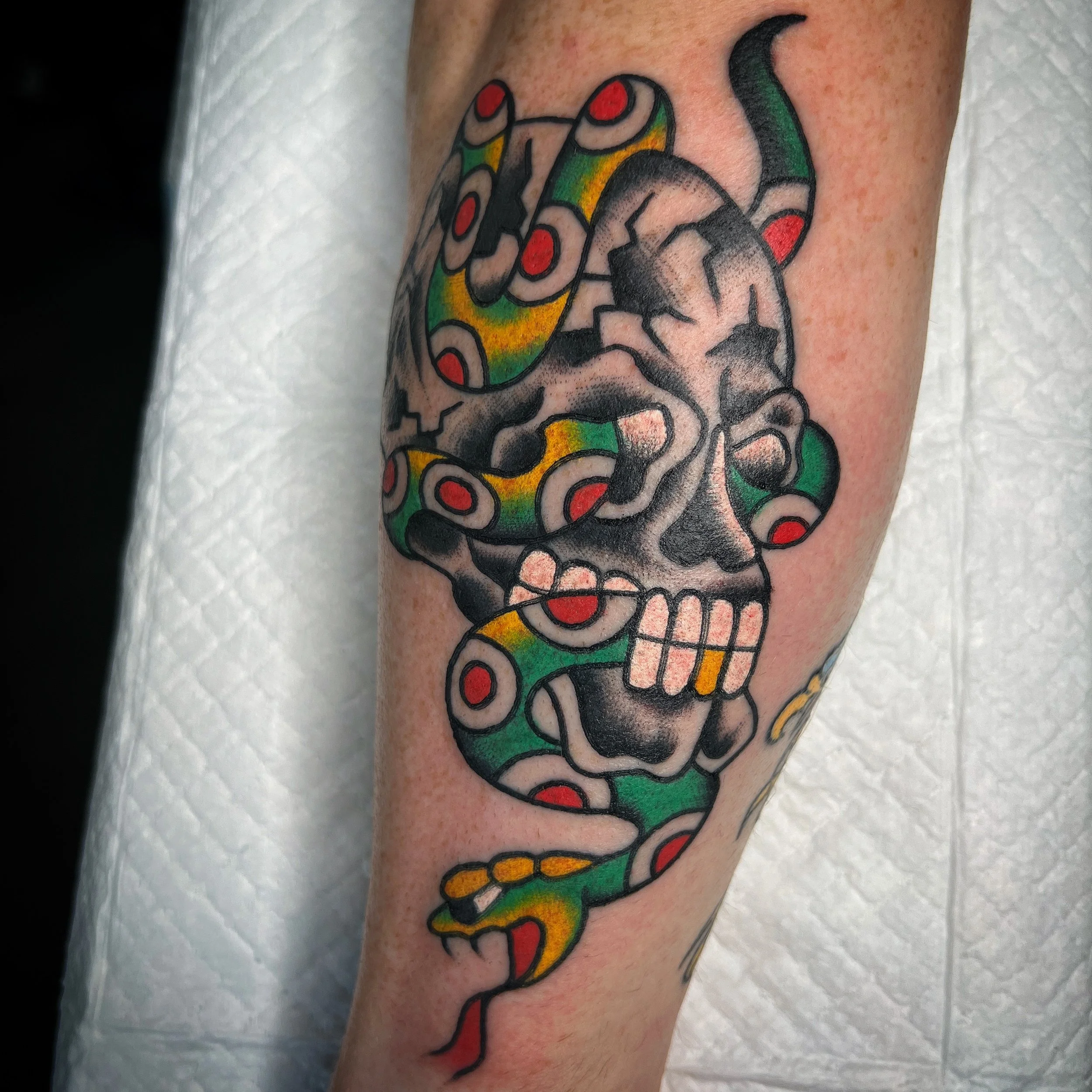 Tattoo of a skull with a snake intertwined around it, featuring colorful details with black shading.