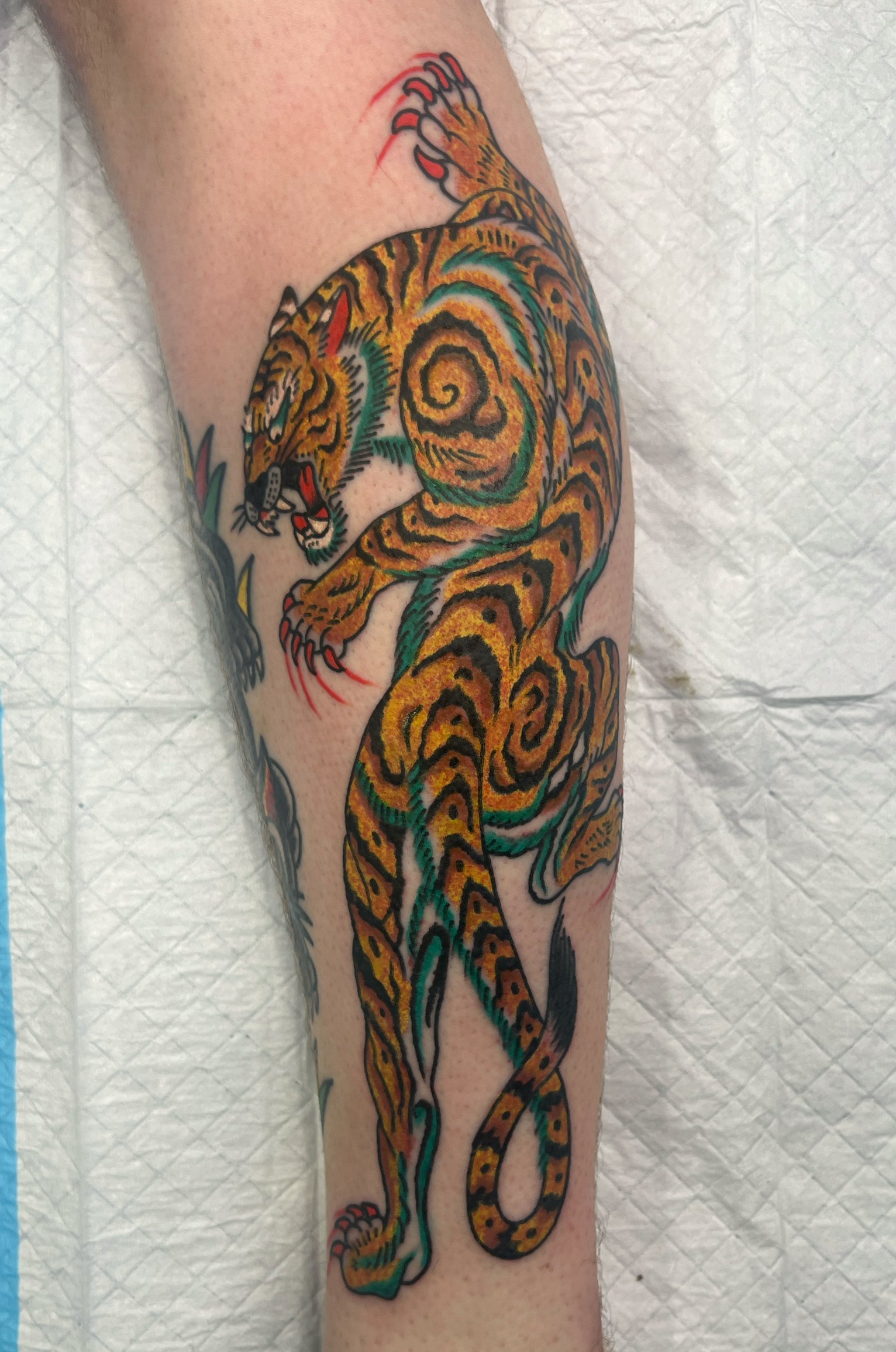 Tattoo of a fierce tiger with orange and black stripes, green accents, and red highlights, on a person's forearm.