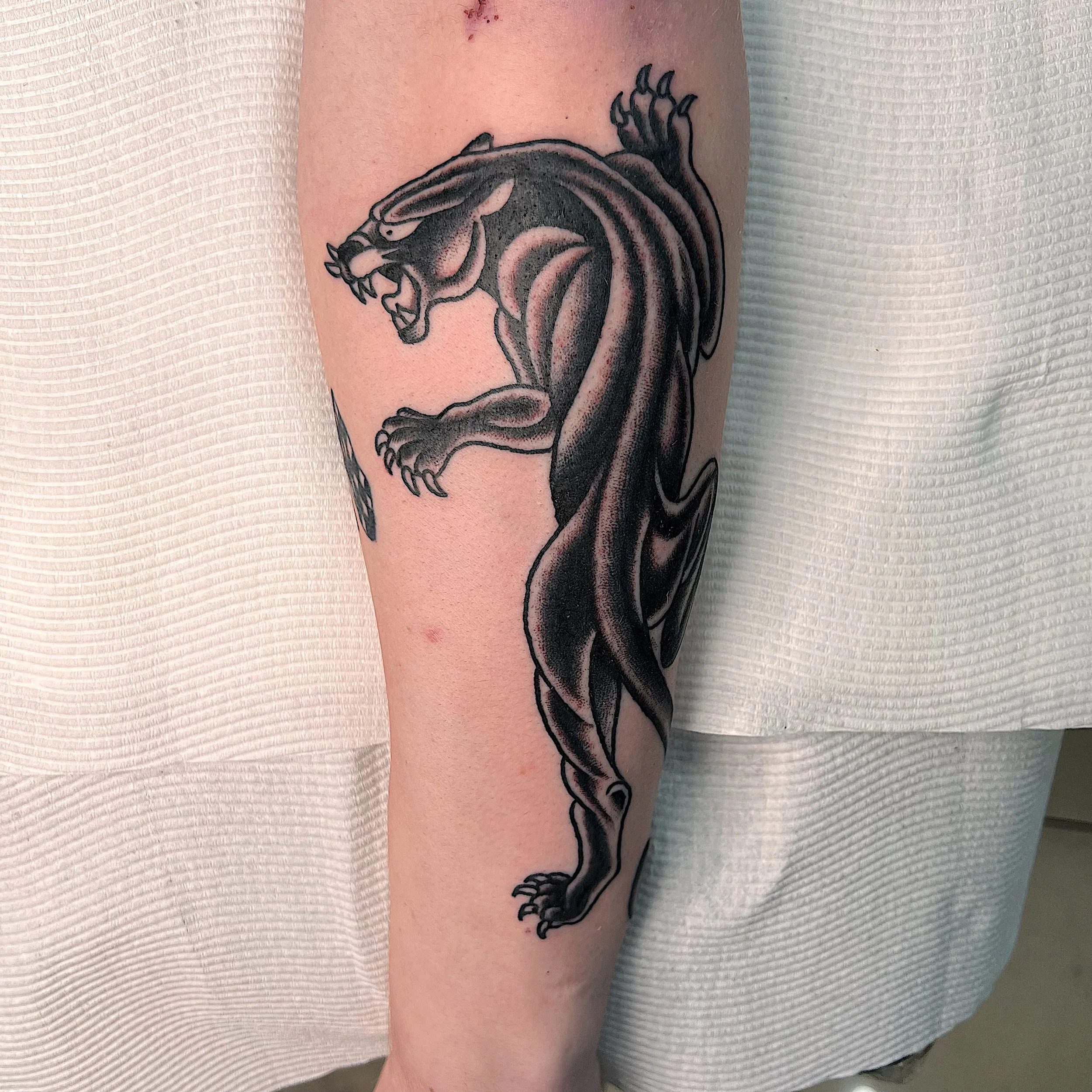 Black and gray tattoo of a fierce, aggressive panther on a person's upper arm.