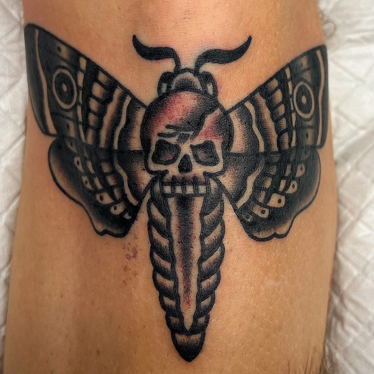 Tattoo of a moth with a human skull at its center on a person's arm.