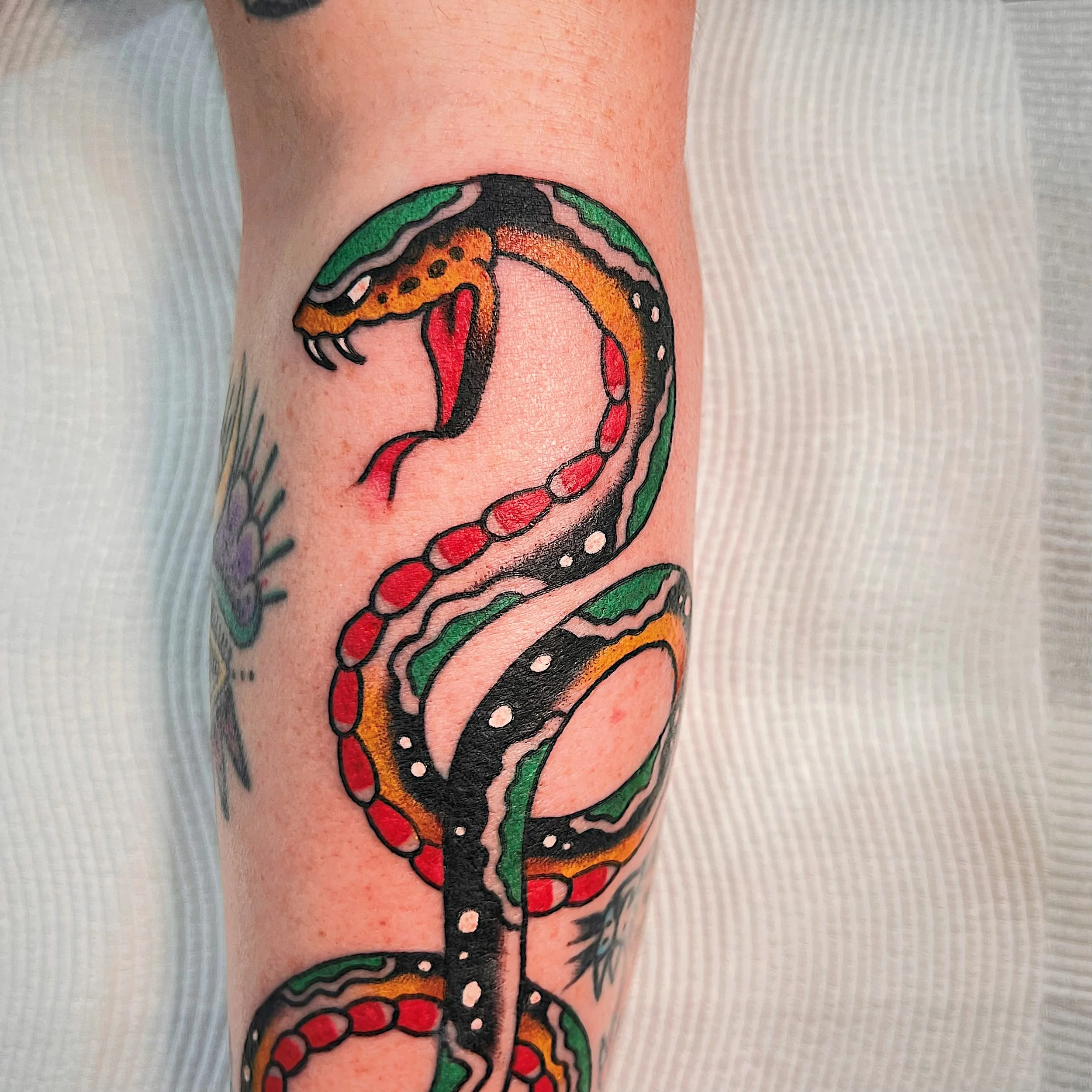 Colorful tattoo of a snake on a person's arm, featuring black, red, green, and orange details.