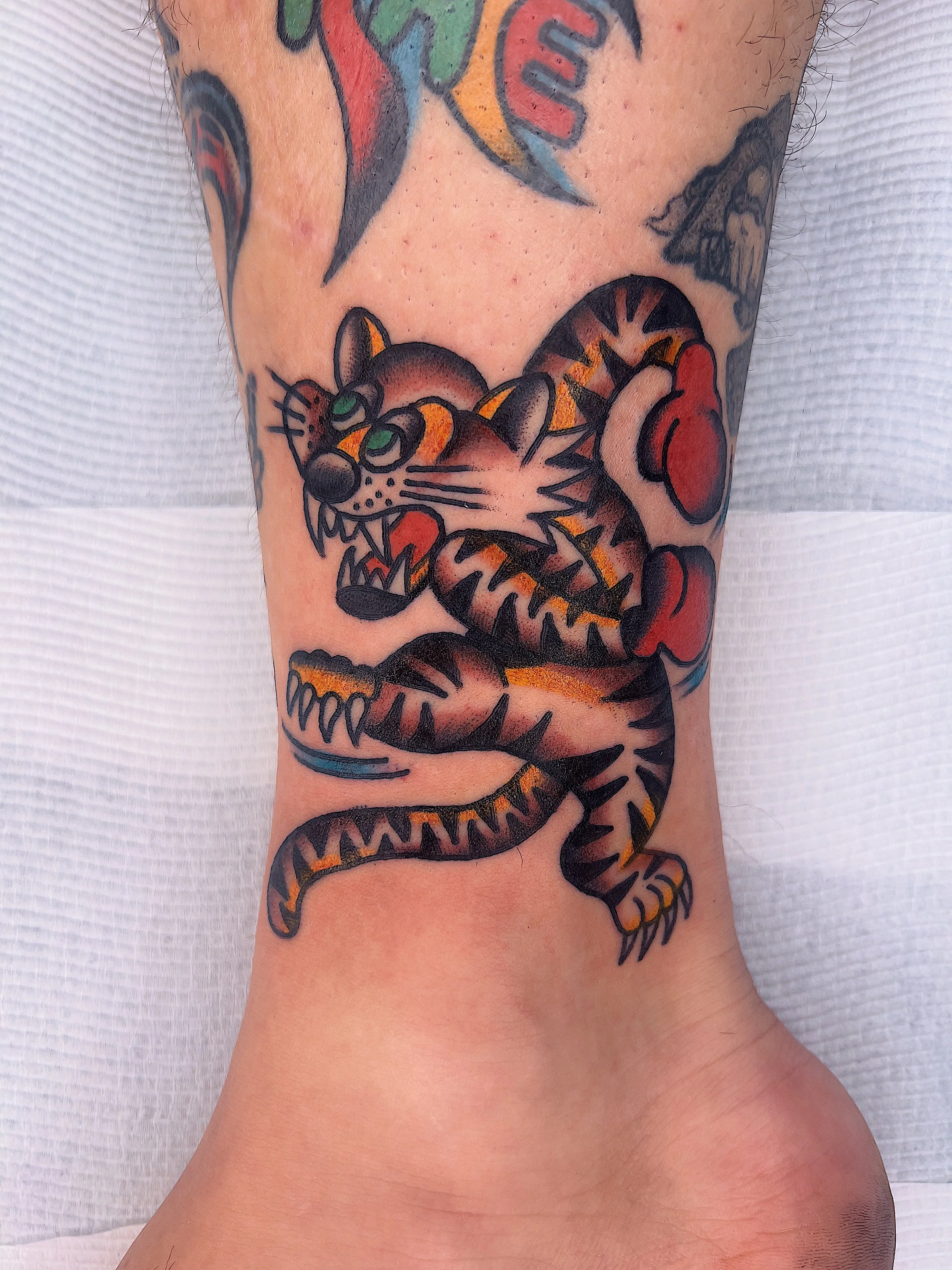 Tattoo of an angry tiger with orange and black tiger stripes, green eyes, and red boxing gloves on the lower leg.
