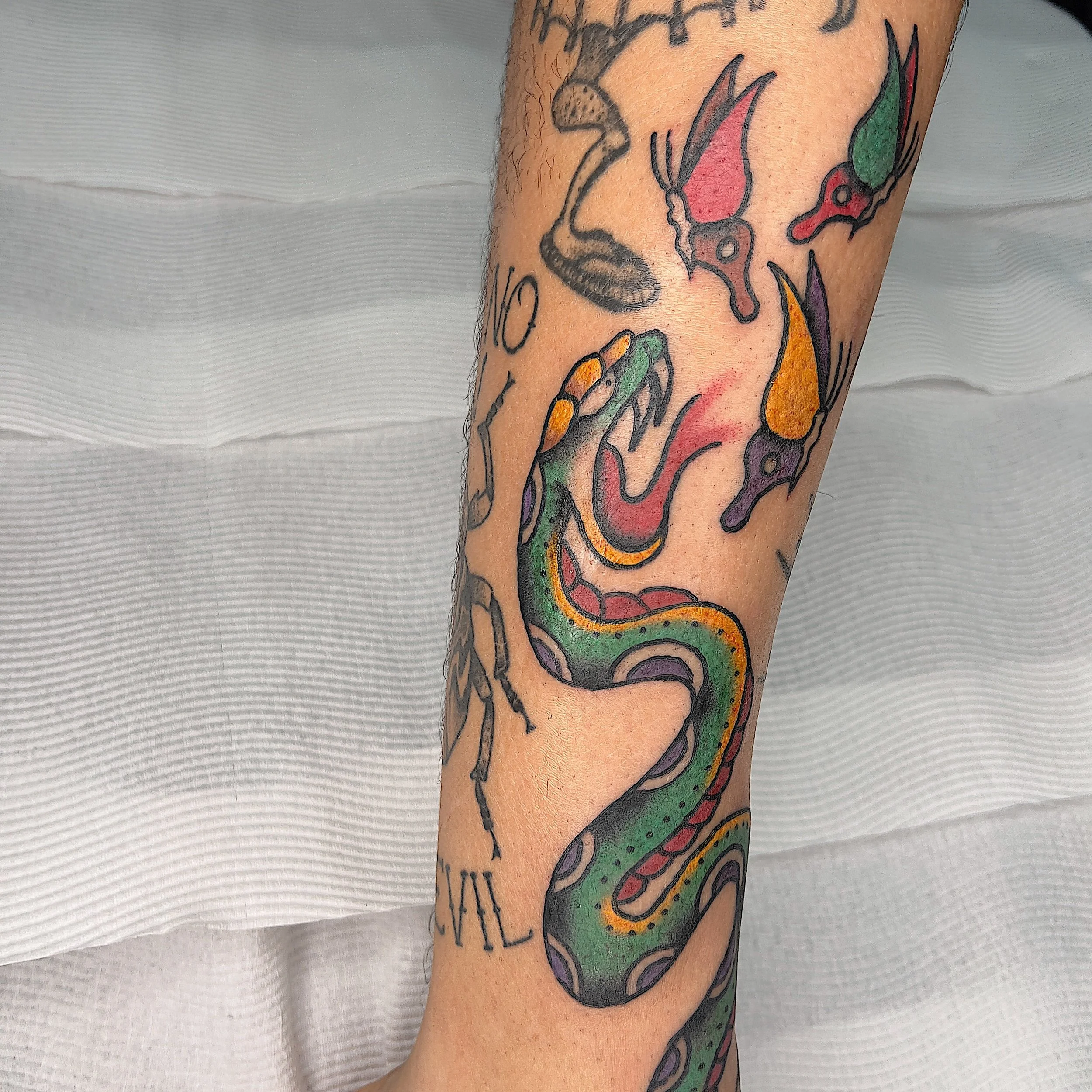 Tattoo of a snake intertwined with three stylized hummingbirds on a person's arm.