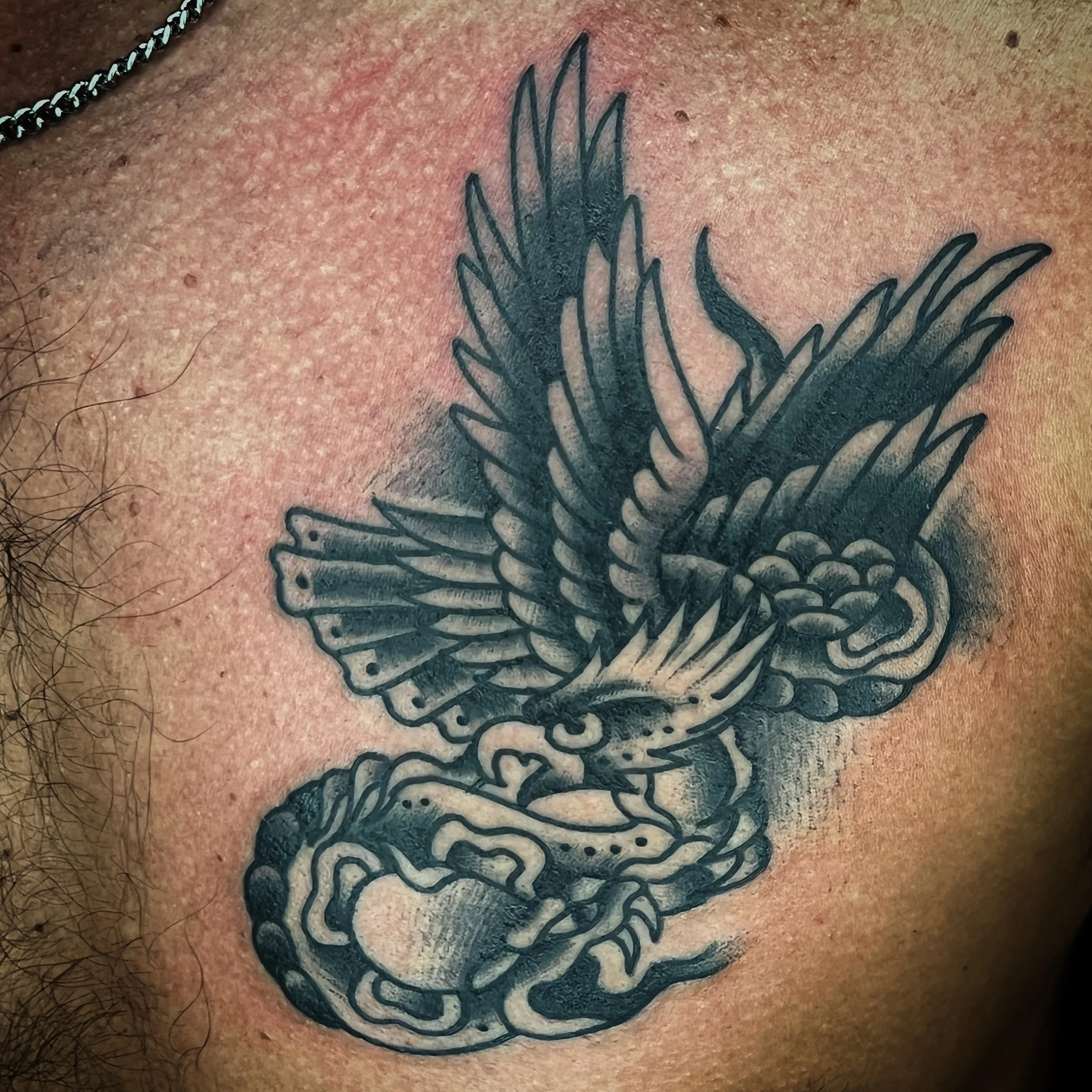 A black and gray tattoo of a bird, possibly an eagle, attacking a serpent, with detailed feathers and scales, on a person's skin.