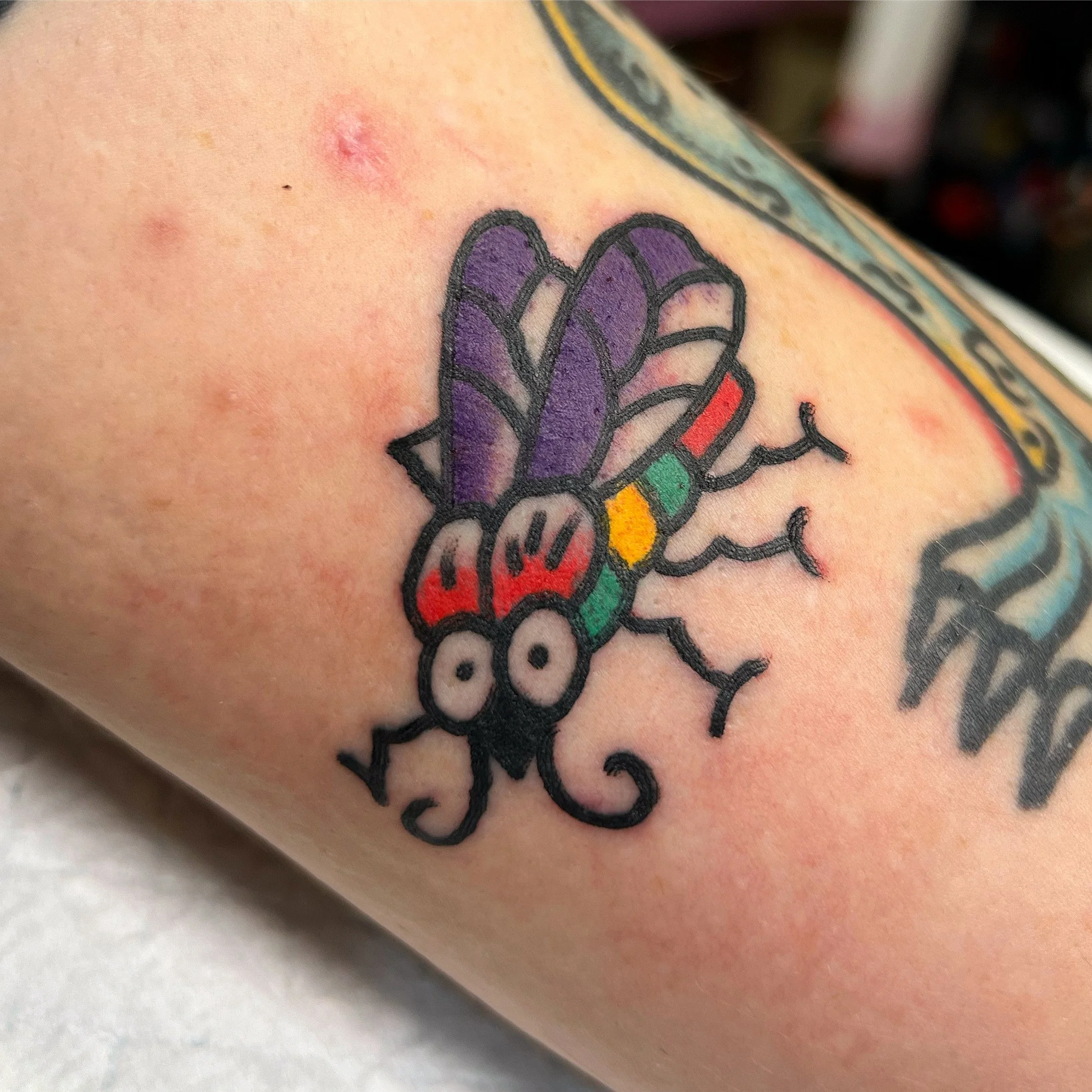 Colorful cartoon fly tattoo with purple wings, red and green body, big eyes, and black outlines on skin.