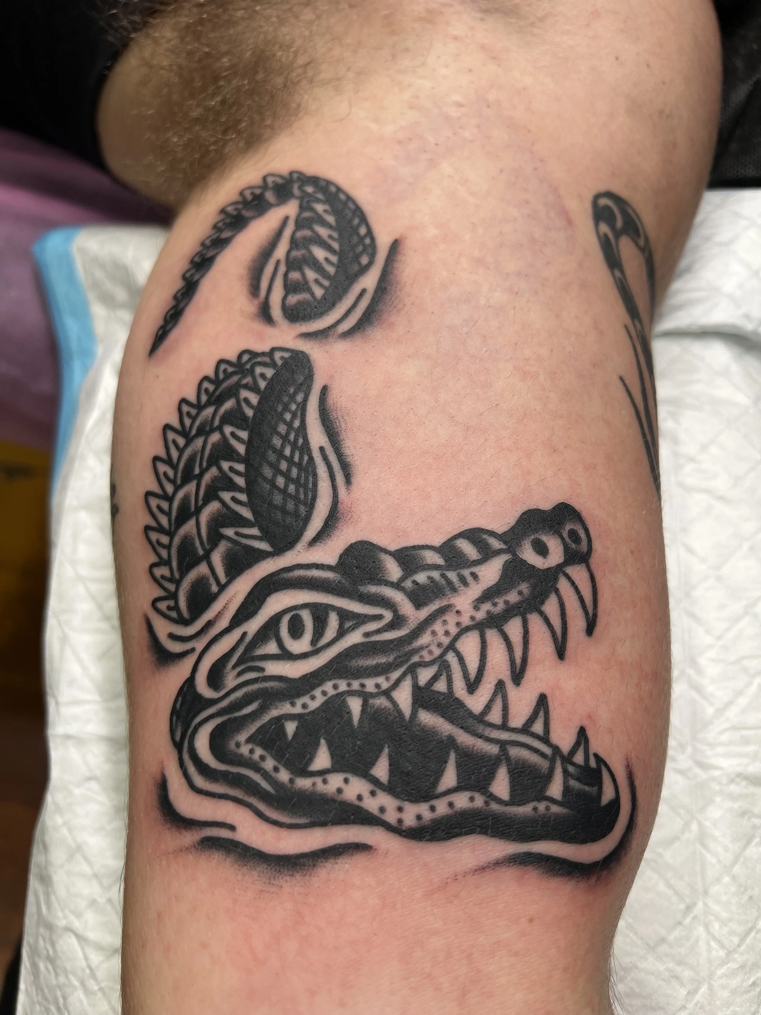 Black and gray tattoo of an alligator head with sharp teeth and detailed scales on a person's upper arm.