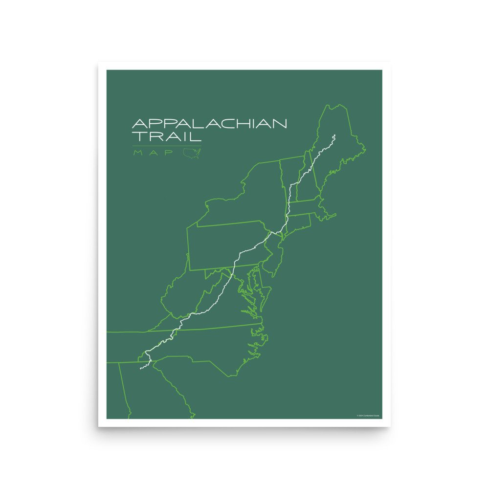 enhanced-matte-paper-poster-(in)-16x20-front-67721029e8840.jpg