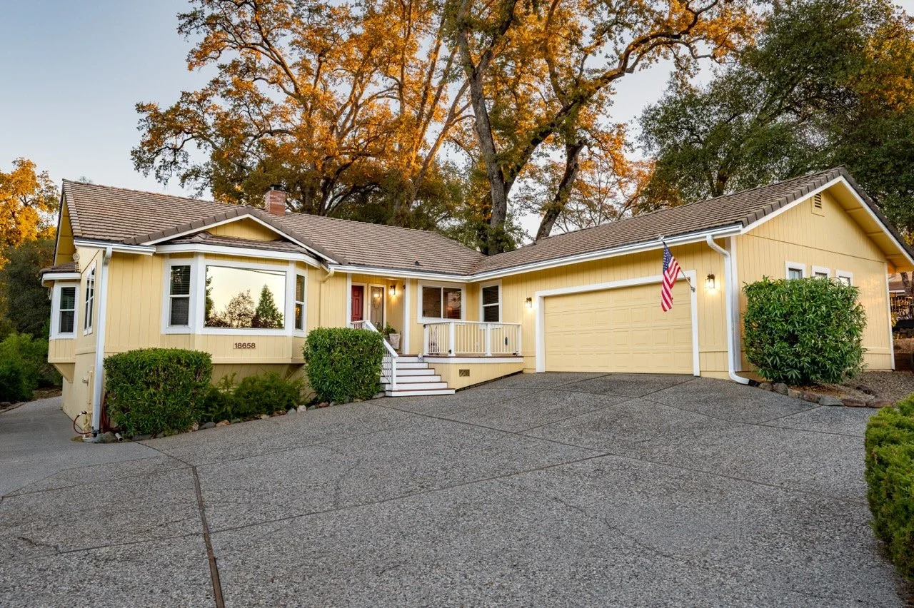 Wilderflower-1 Large.jpeg