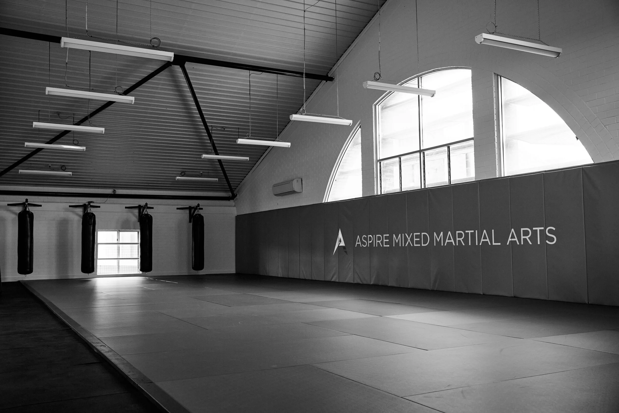 Aspire MMA'S In-House Grappling Tournament #2