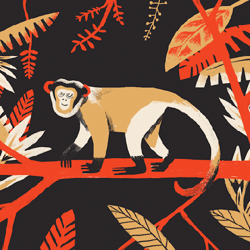 AF_MACACO_0830_21hs.gif